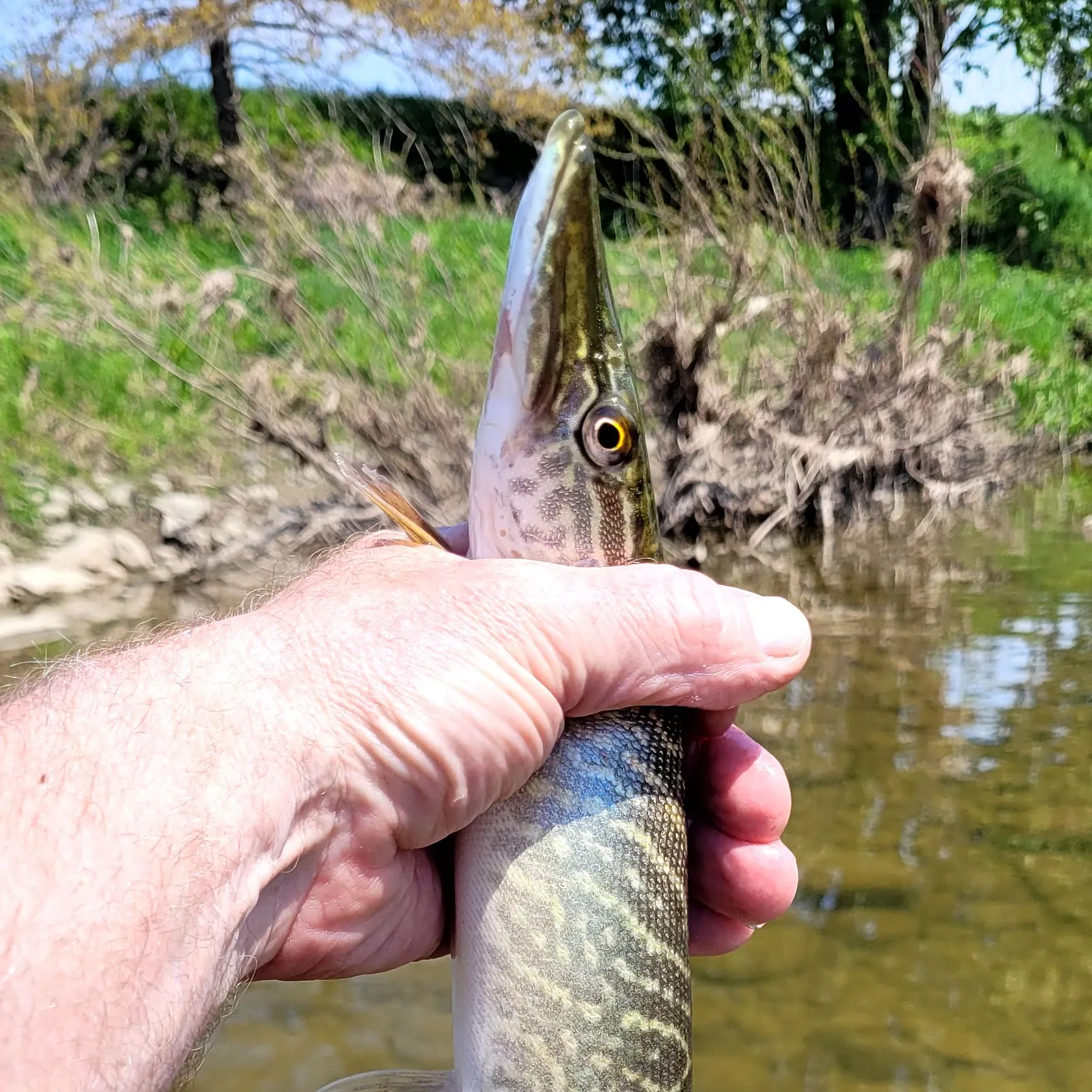 catch