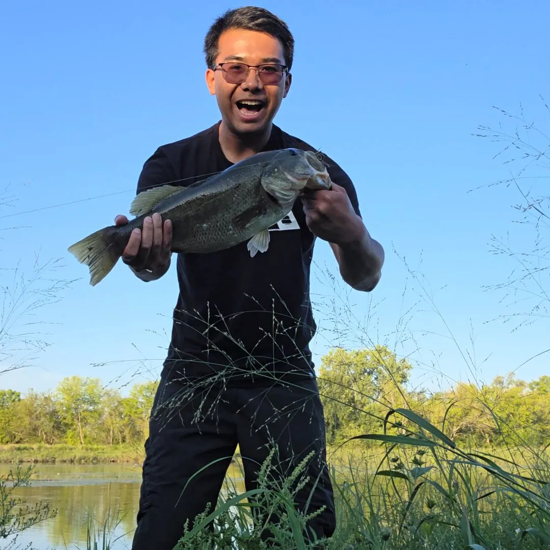 Fish caught on Fishbrain