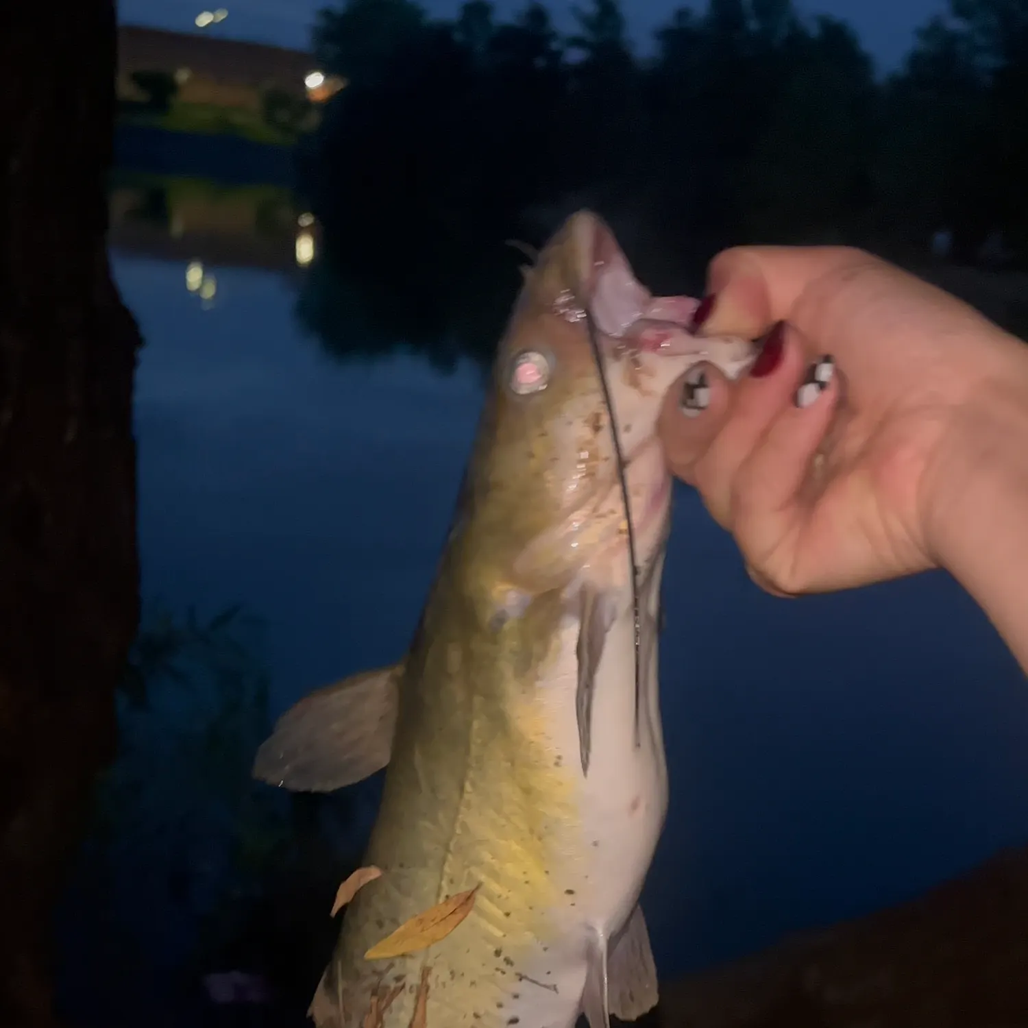 catch