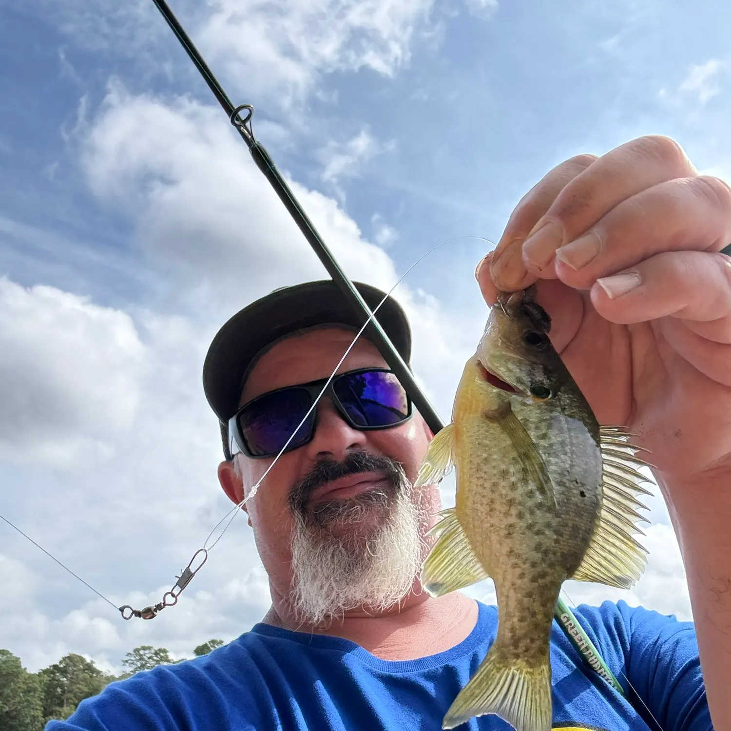 Redear sunfish caught on Fishbrain
