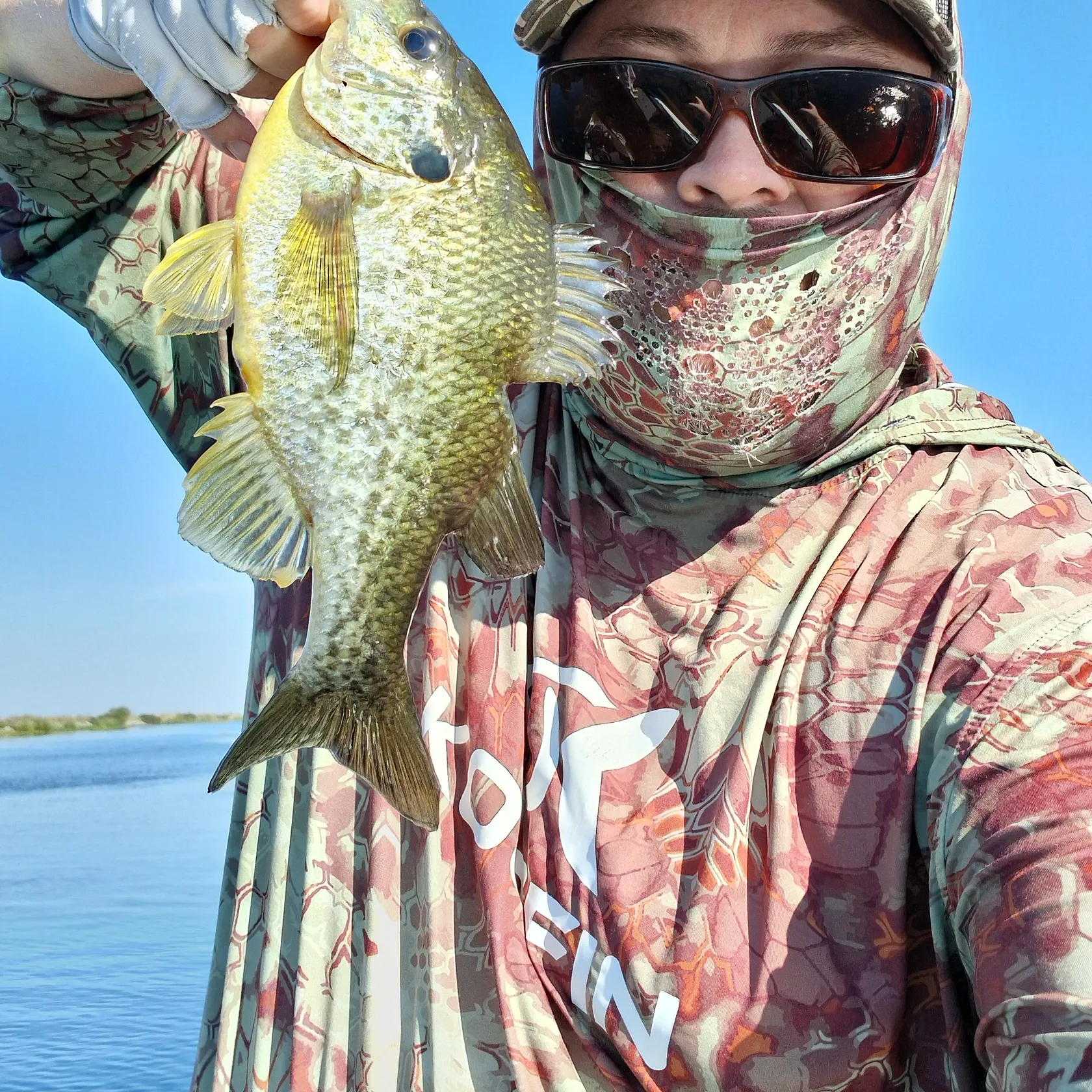 Redear sunfish caught on Fishbrain
