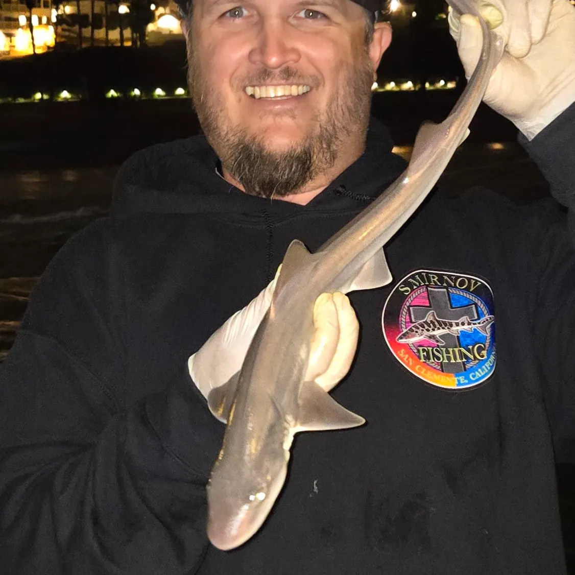 Grey smooth-hound caught on Fishbrain