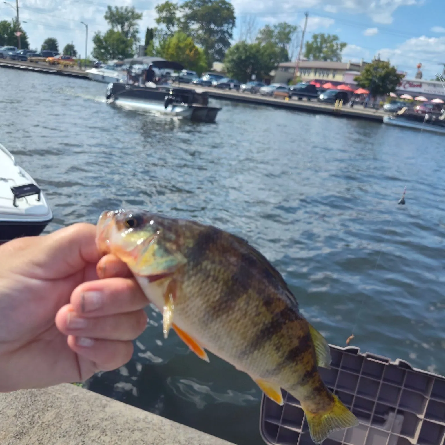 catch