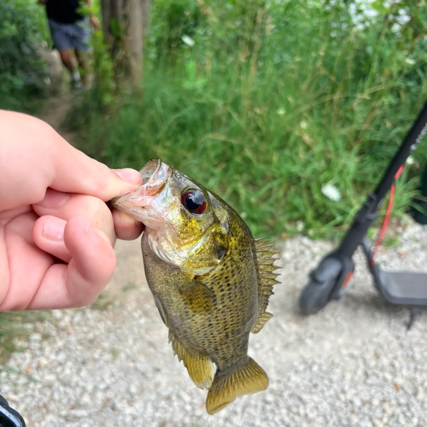 catch