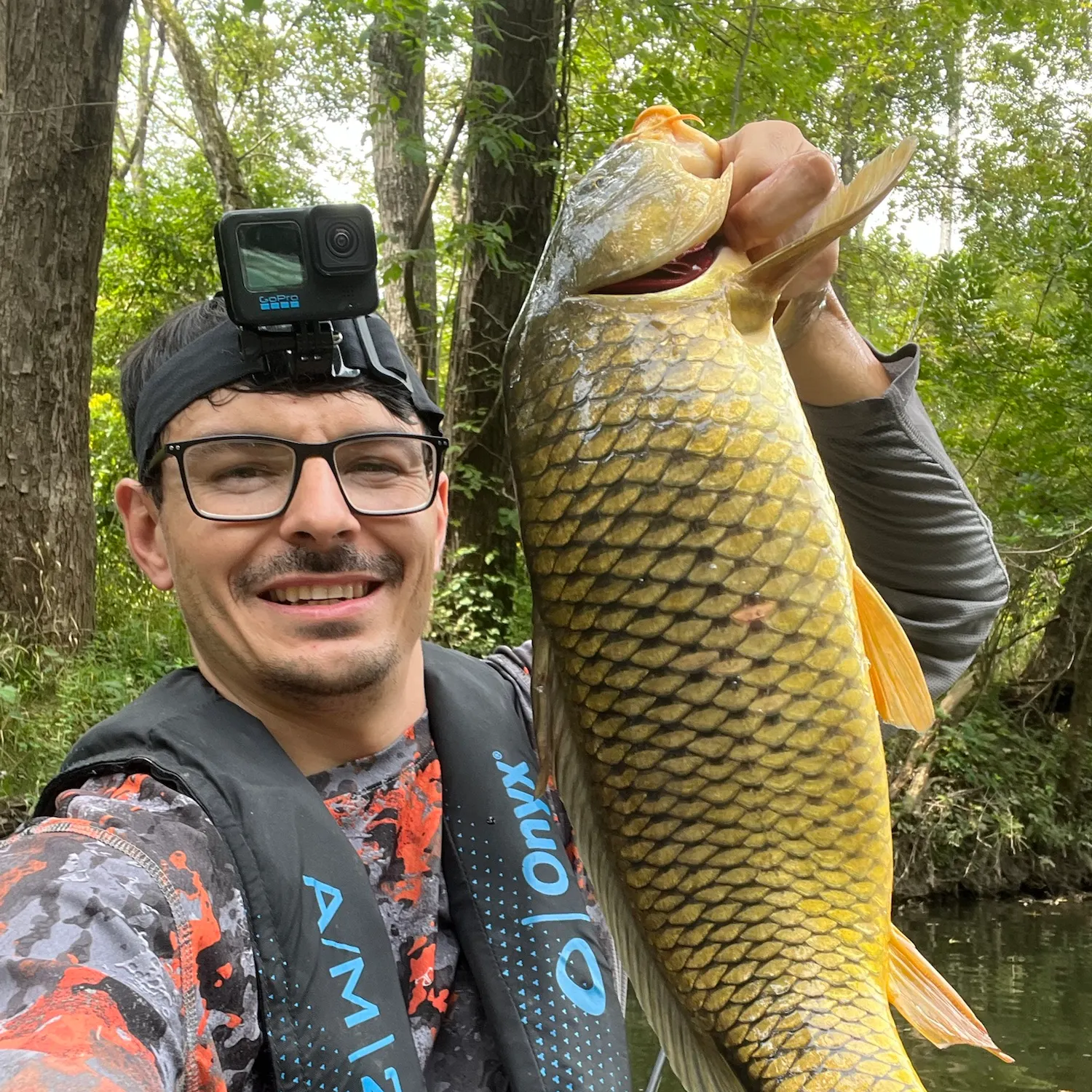 Common carp caught on Fishbrain