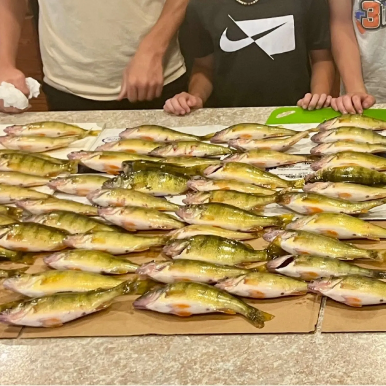 recently logged catches
