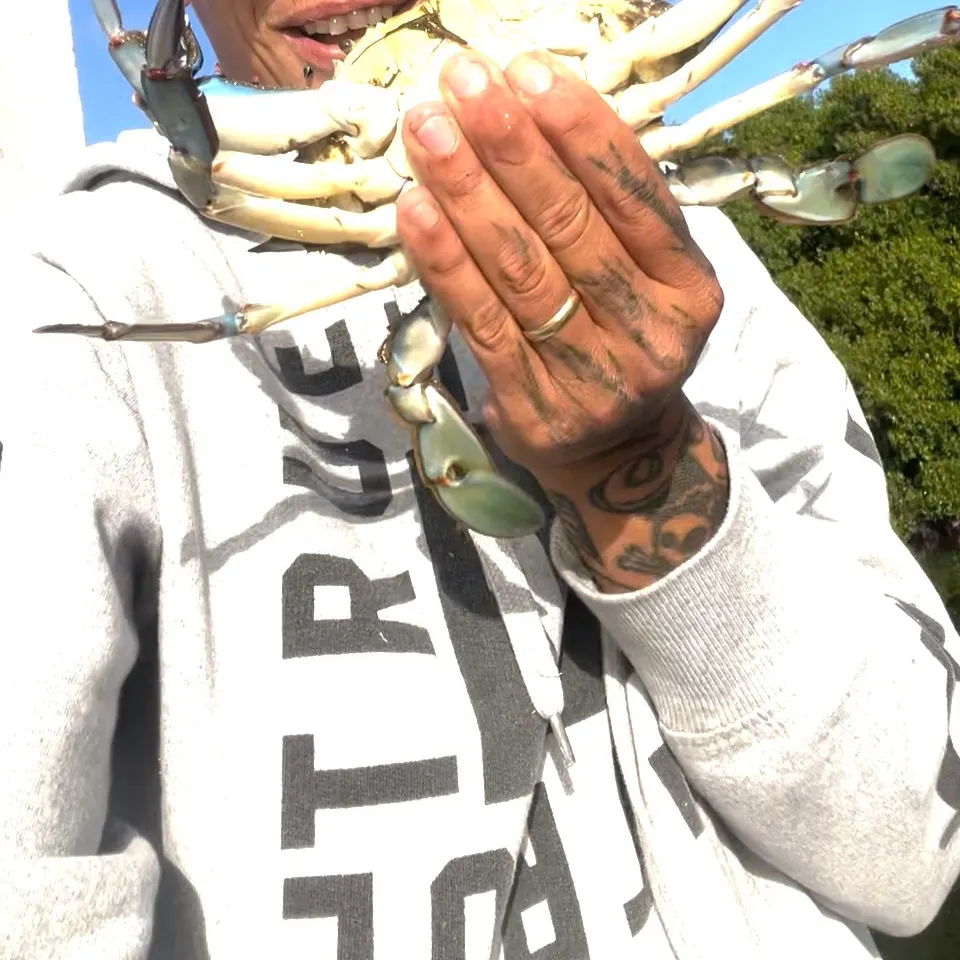 The most recent Blue crab catches on Fishbrain