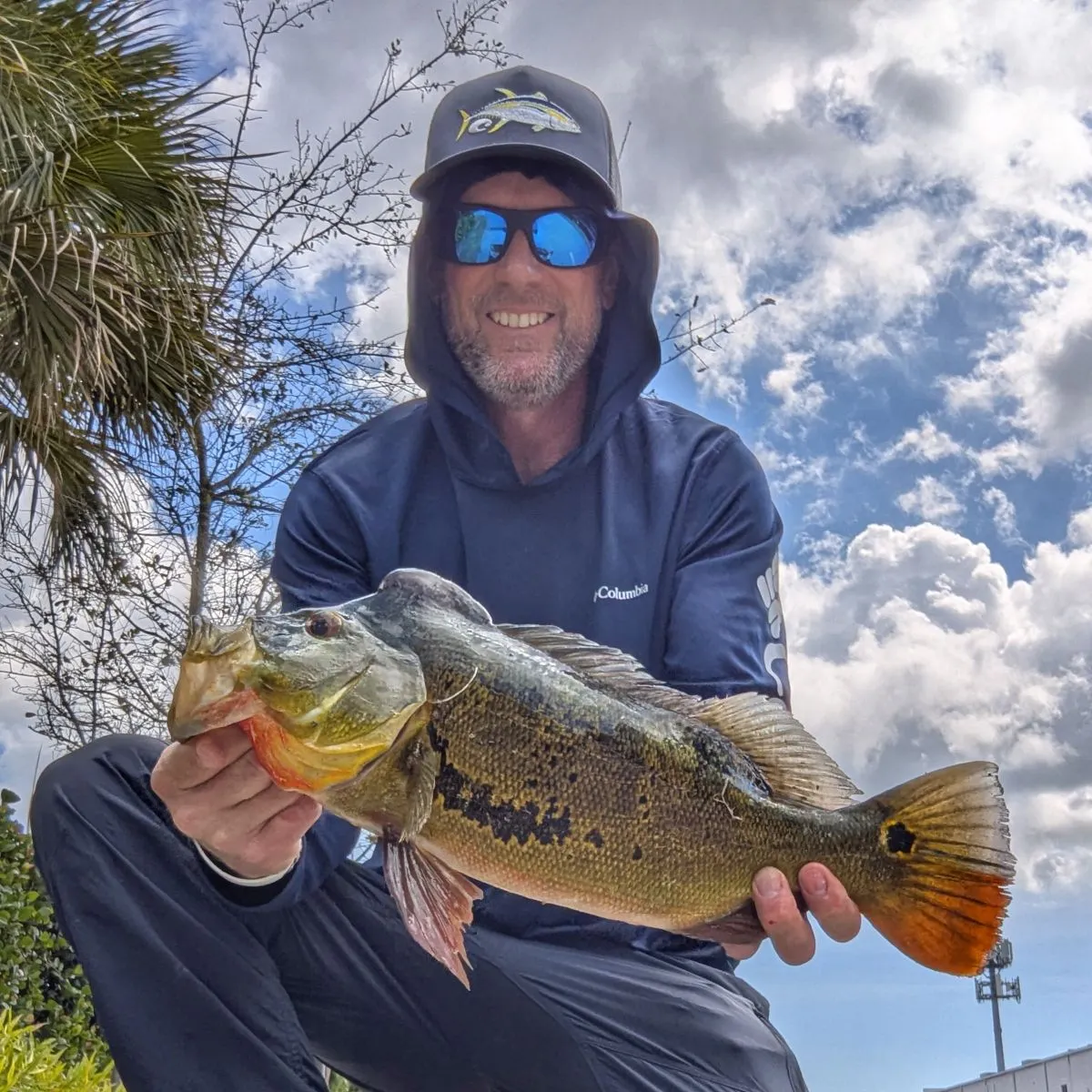 The most recent Butterfly peacock bass catches on Fishbrain