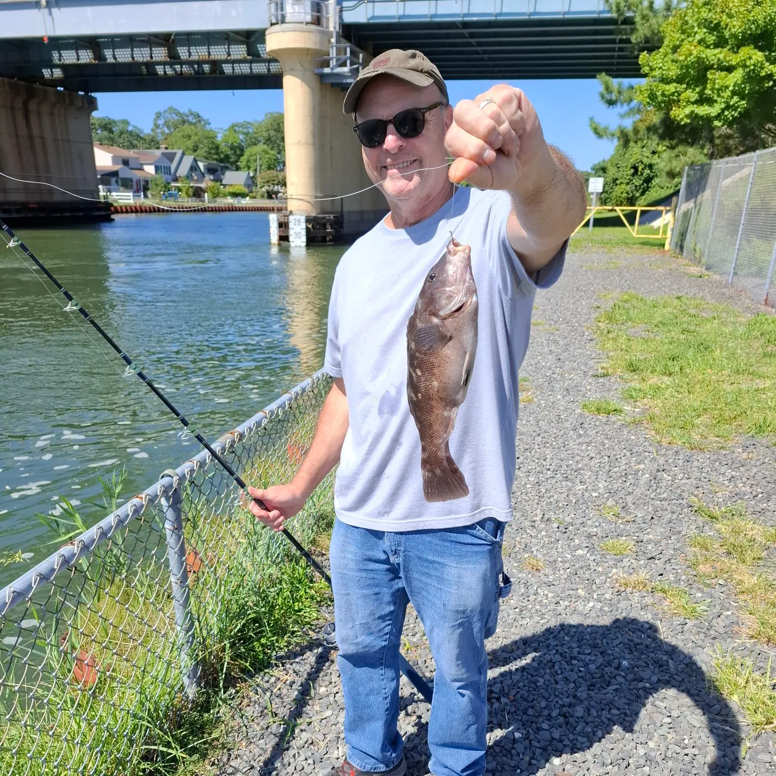 Tautog caught on Fishbrain