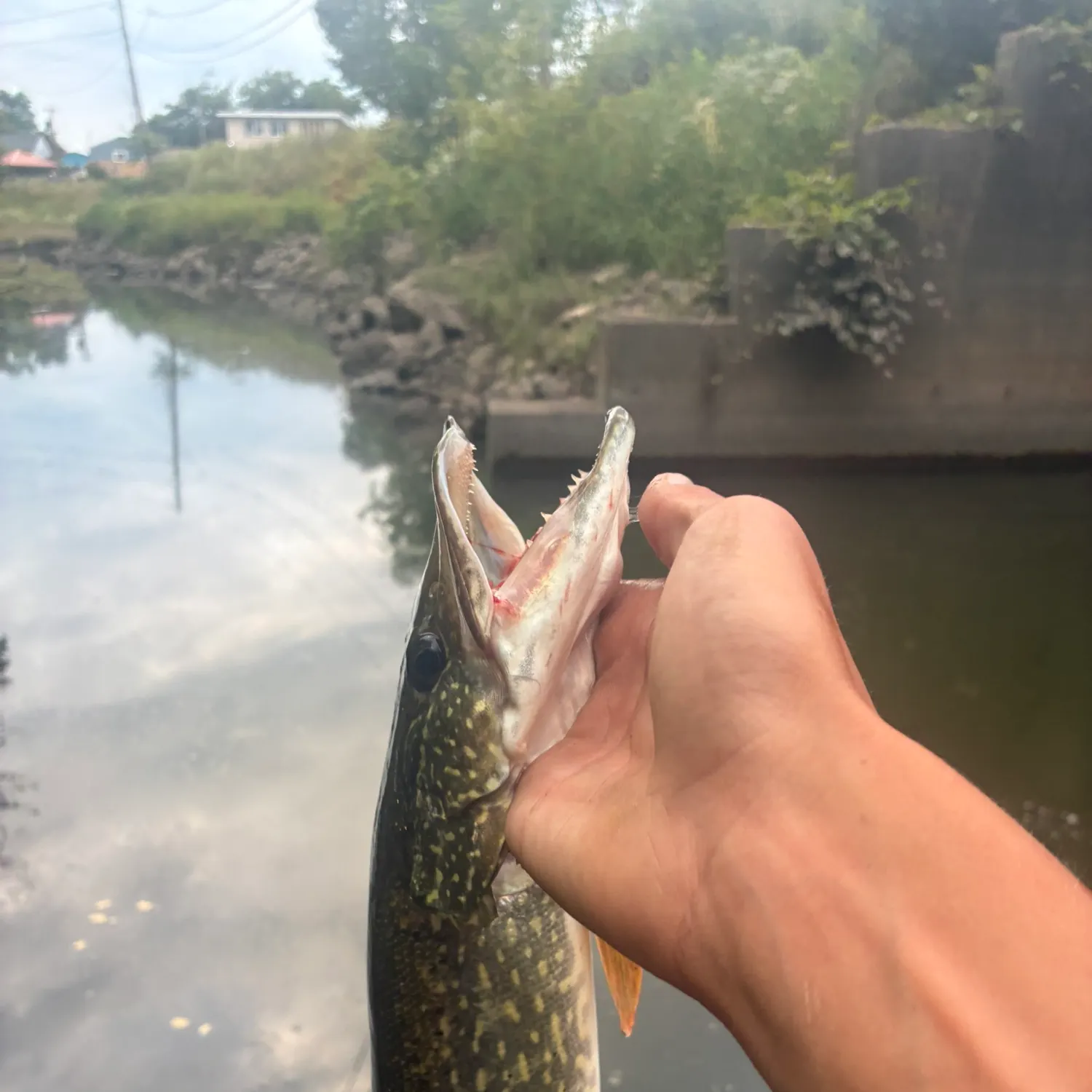 catch
