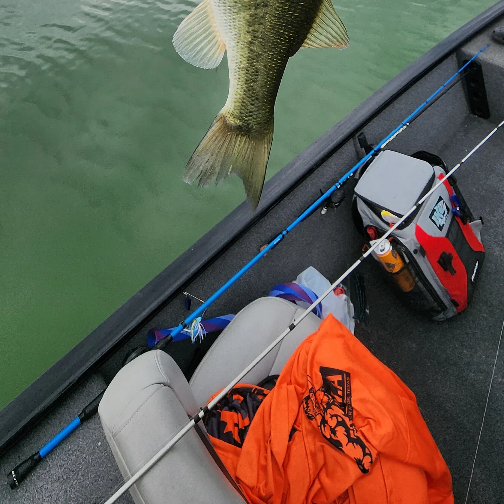 angler catch