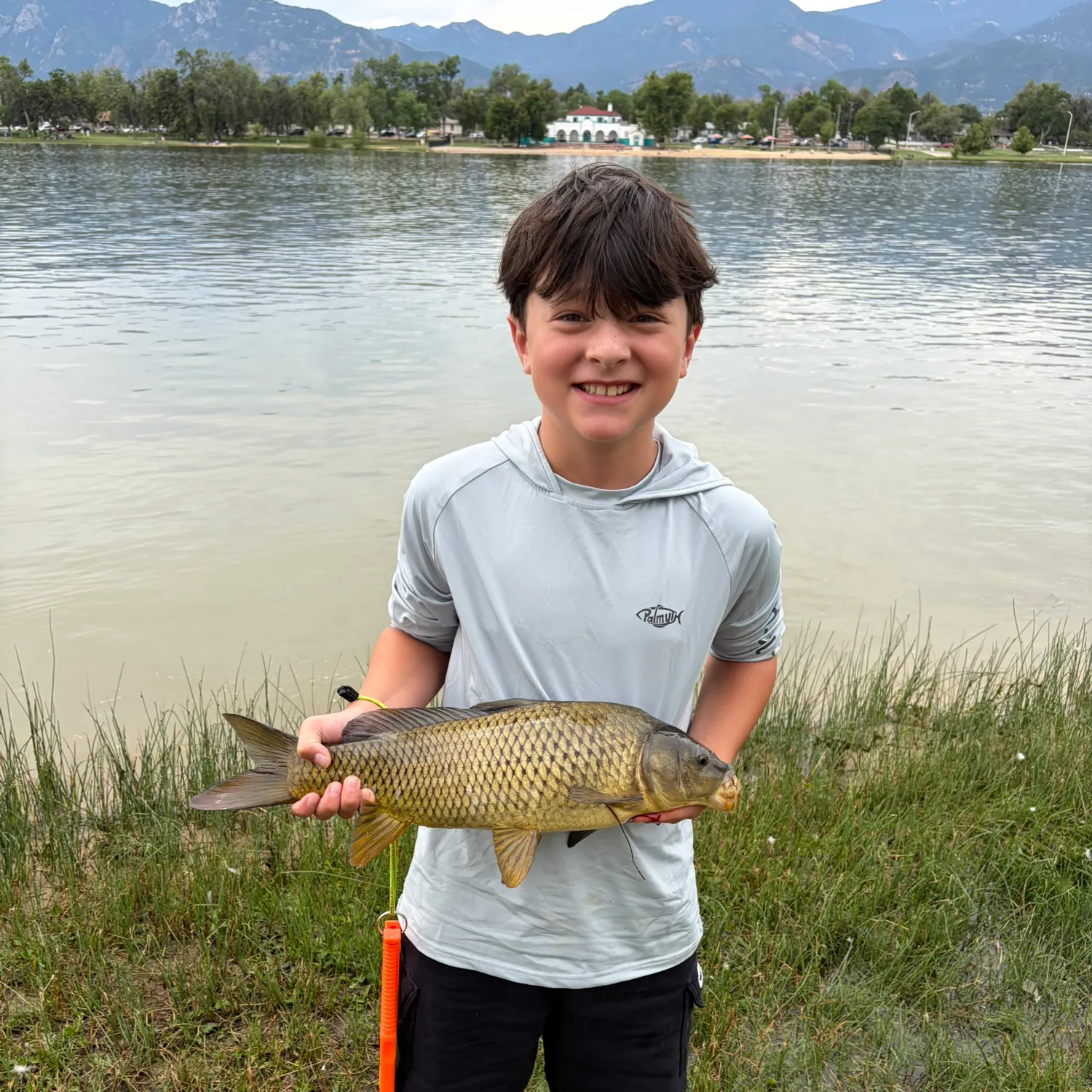 Common carp caught on Fishbrain