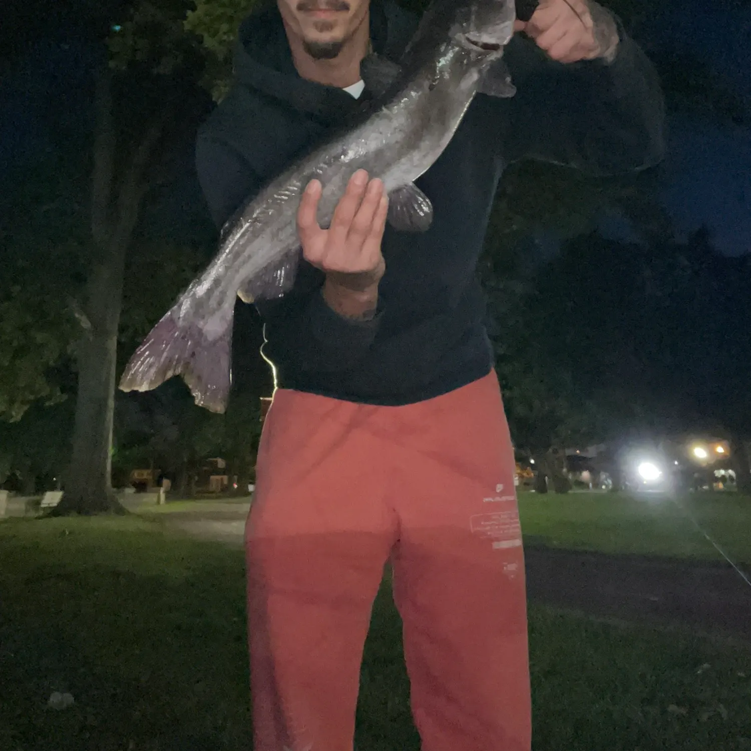 Channel catfish caught on Fishbrain