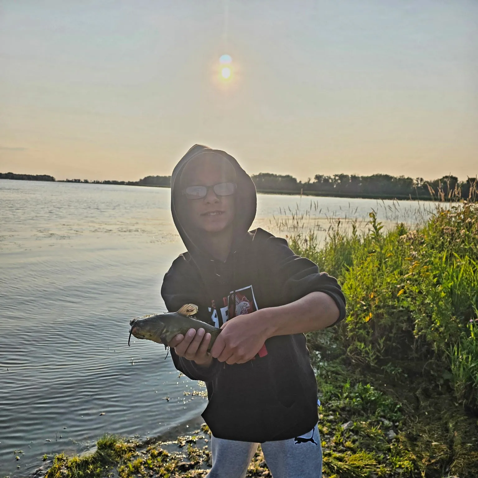 Black bullhead caught on Fishbrain