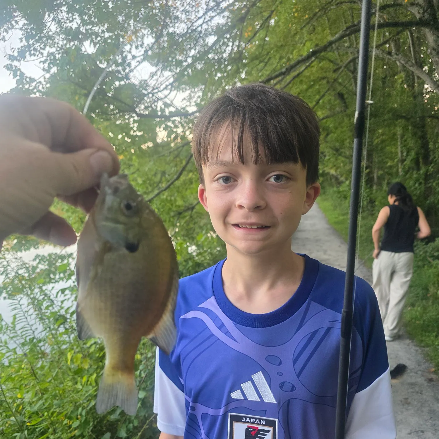 Bluegill caught on Fishbrain
