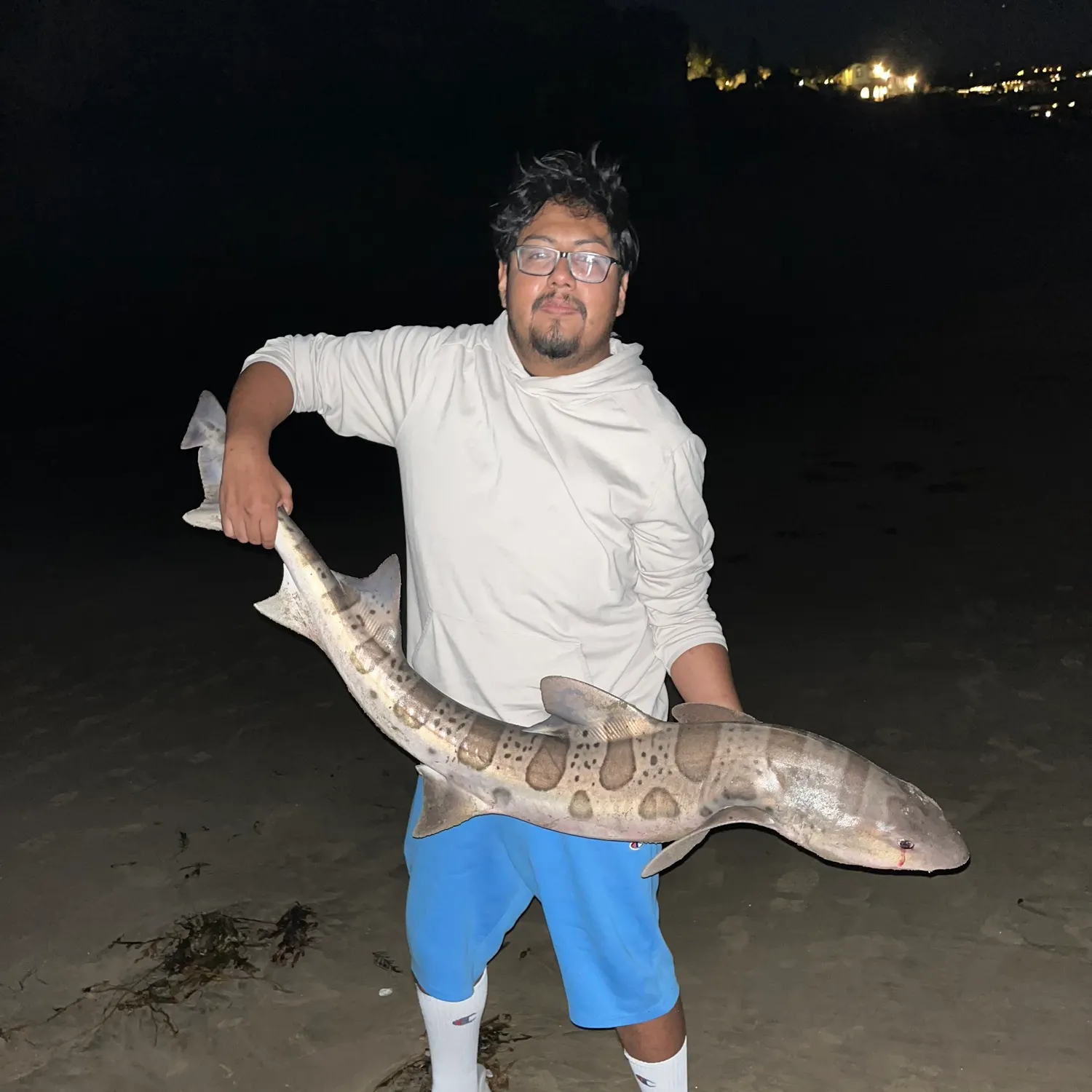Leopard shark caught on Fishbrain