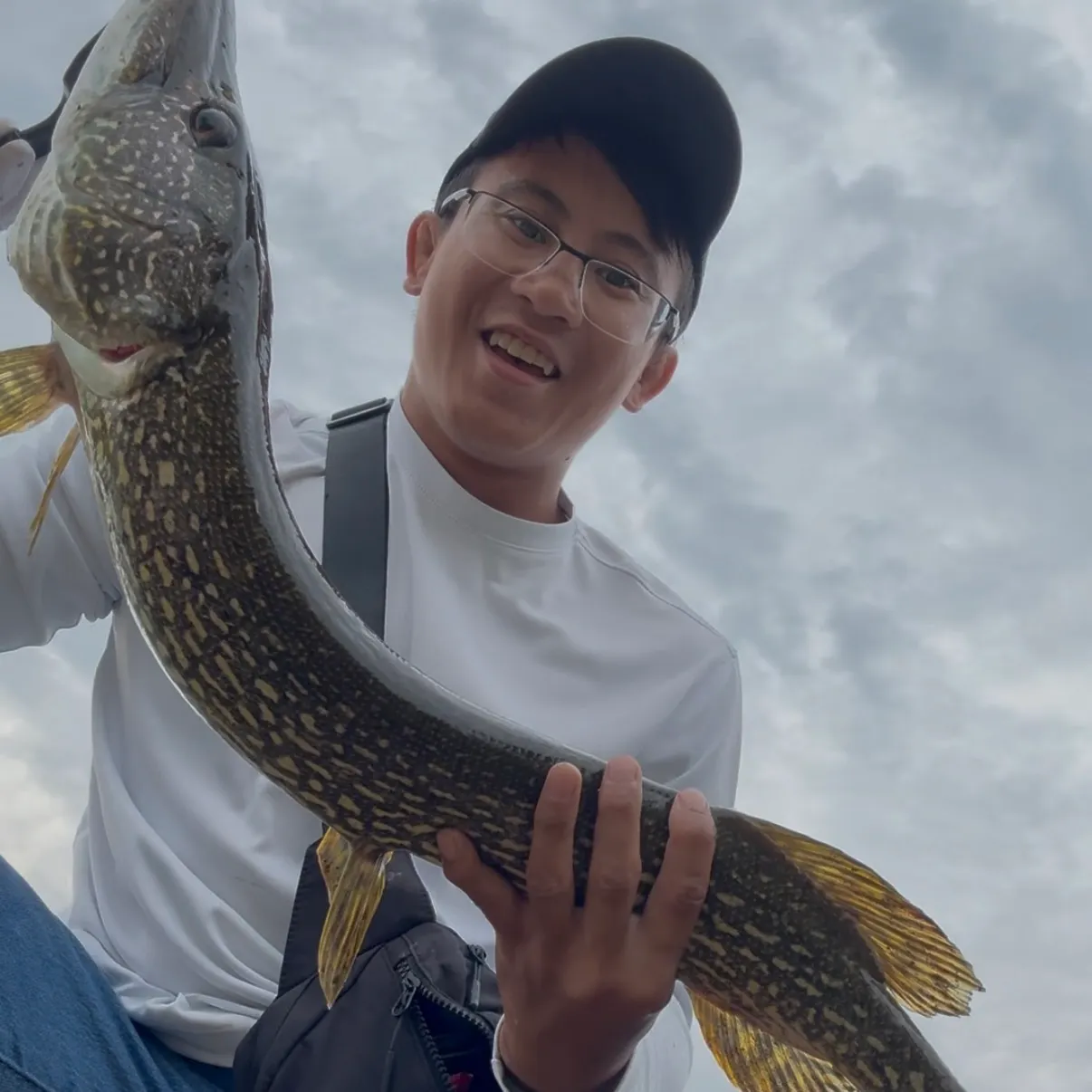 Northern pike caught on Fishbrain