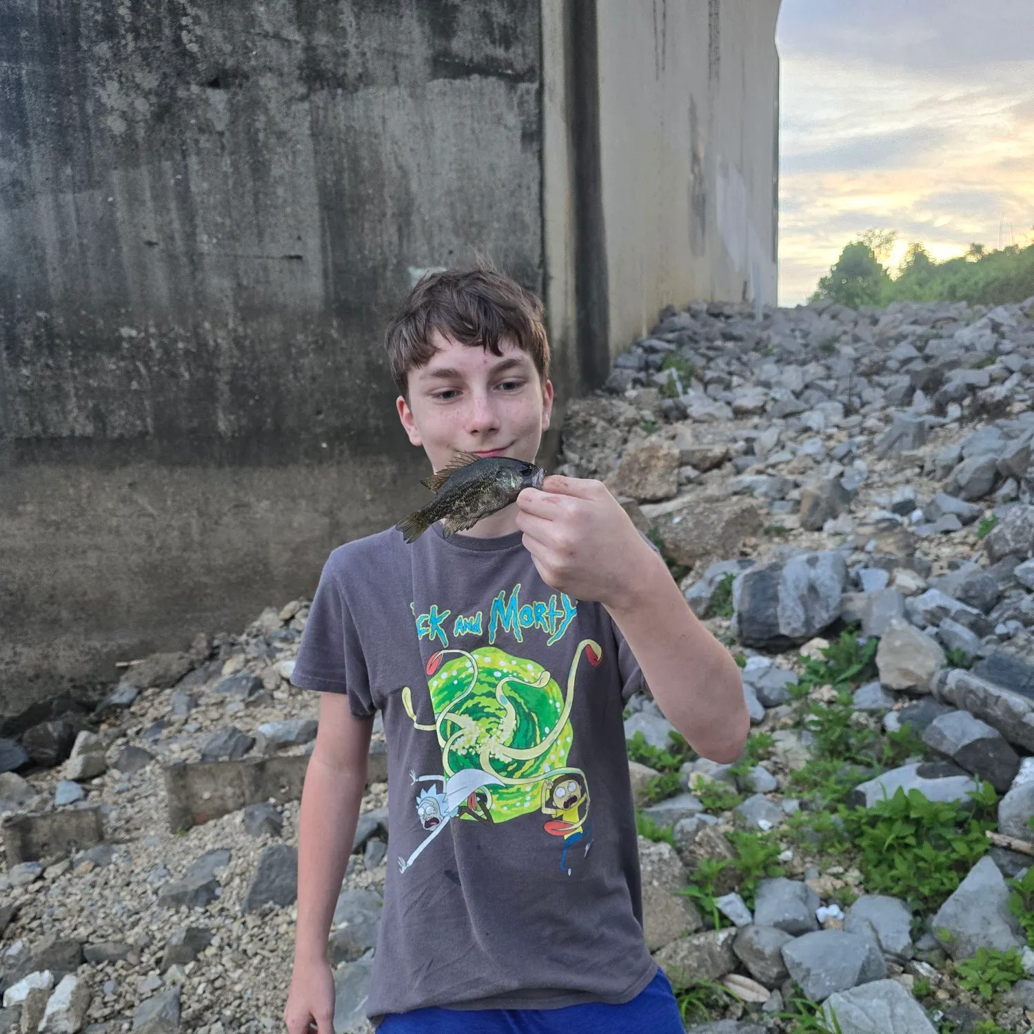 The most recent Rock bass catches on Fishbrain