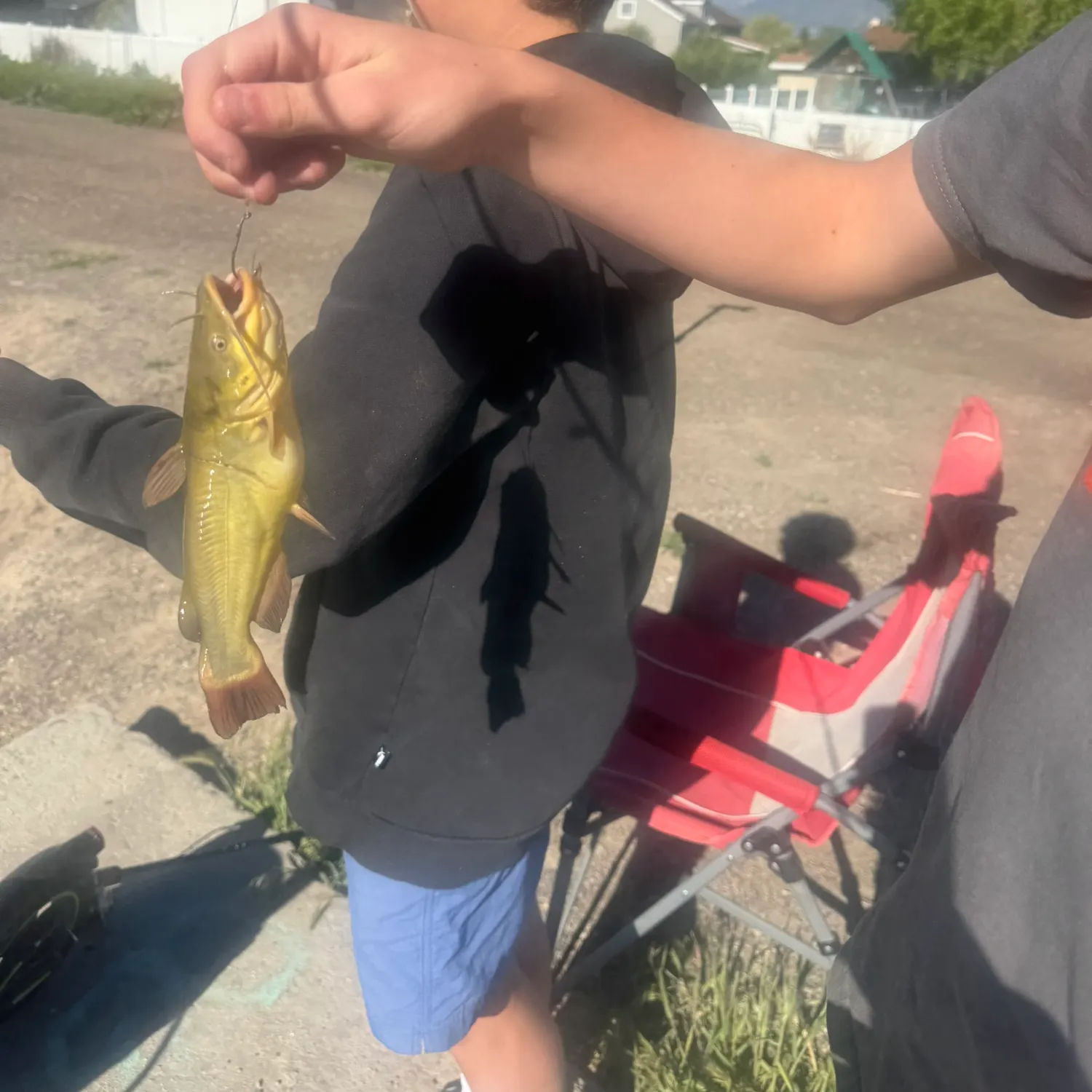 catch