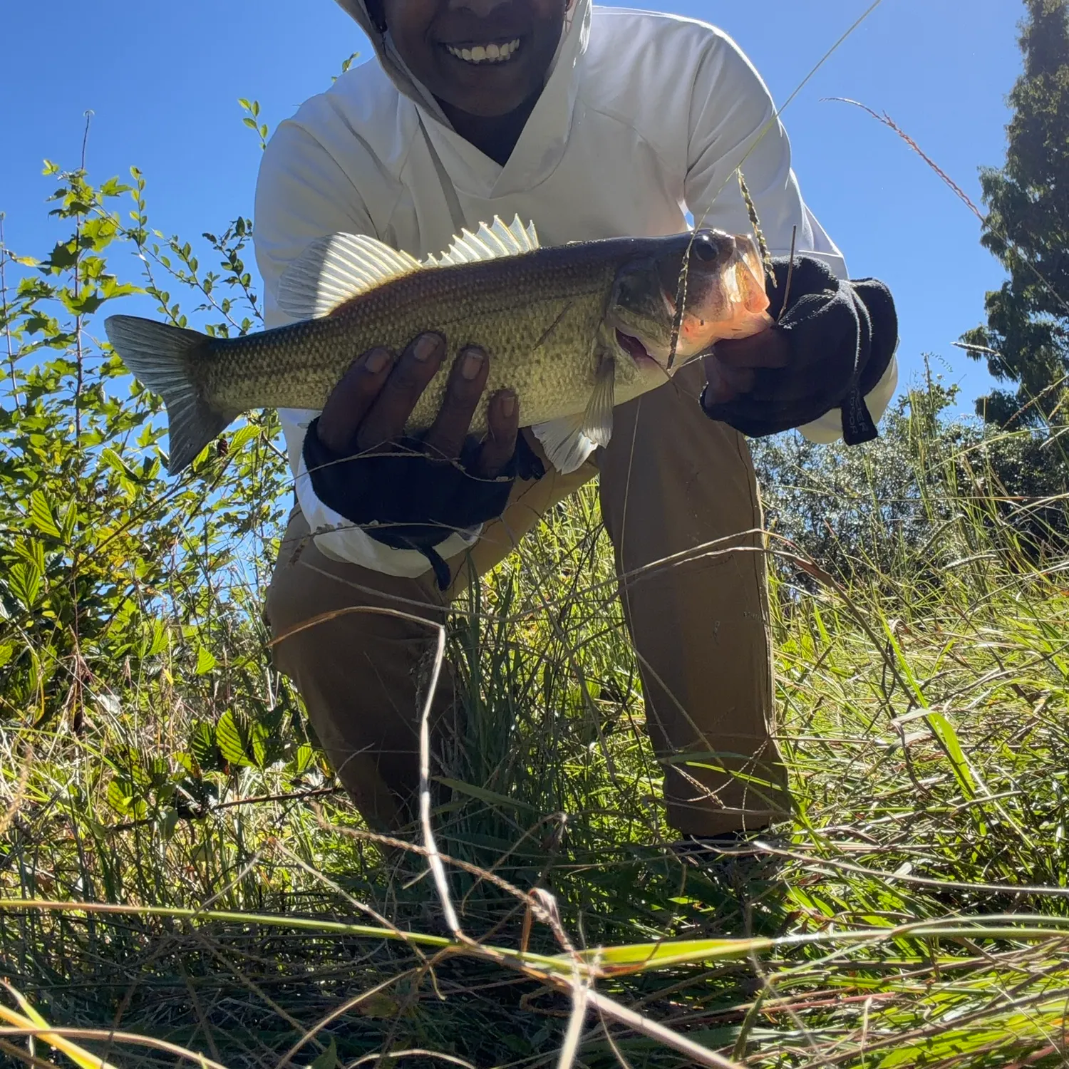 catch