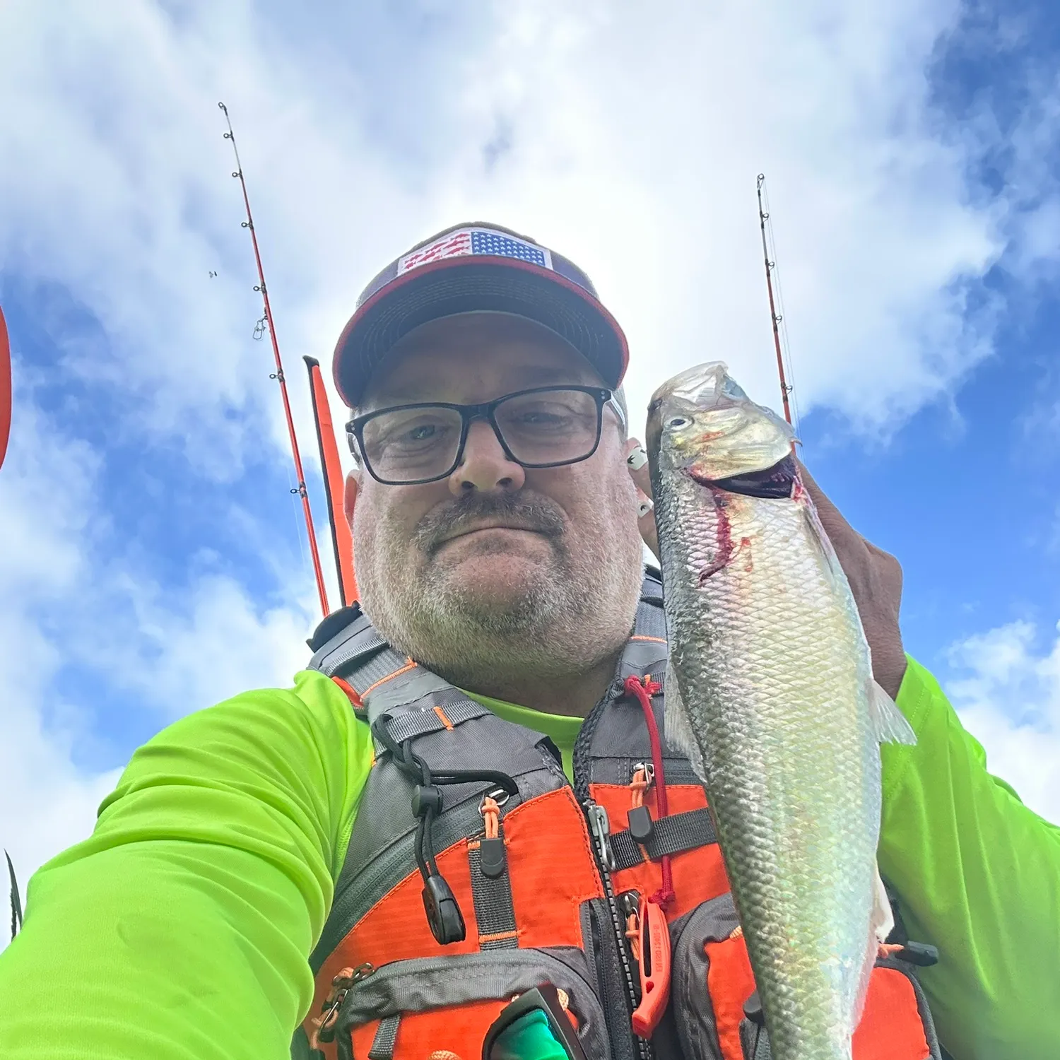 The most recent American shad catches on Fishbrain