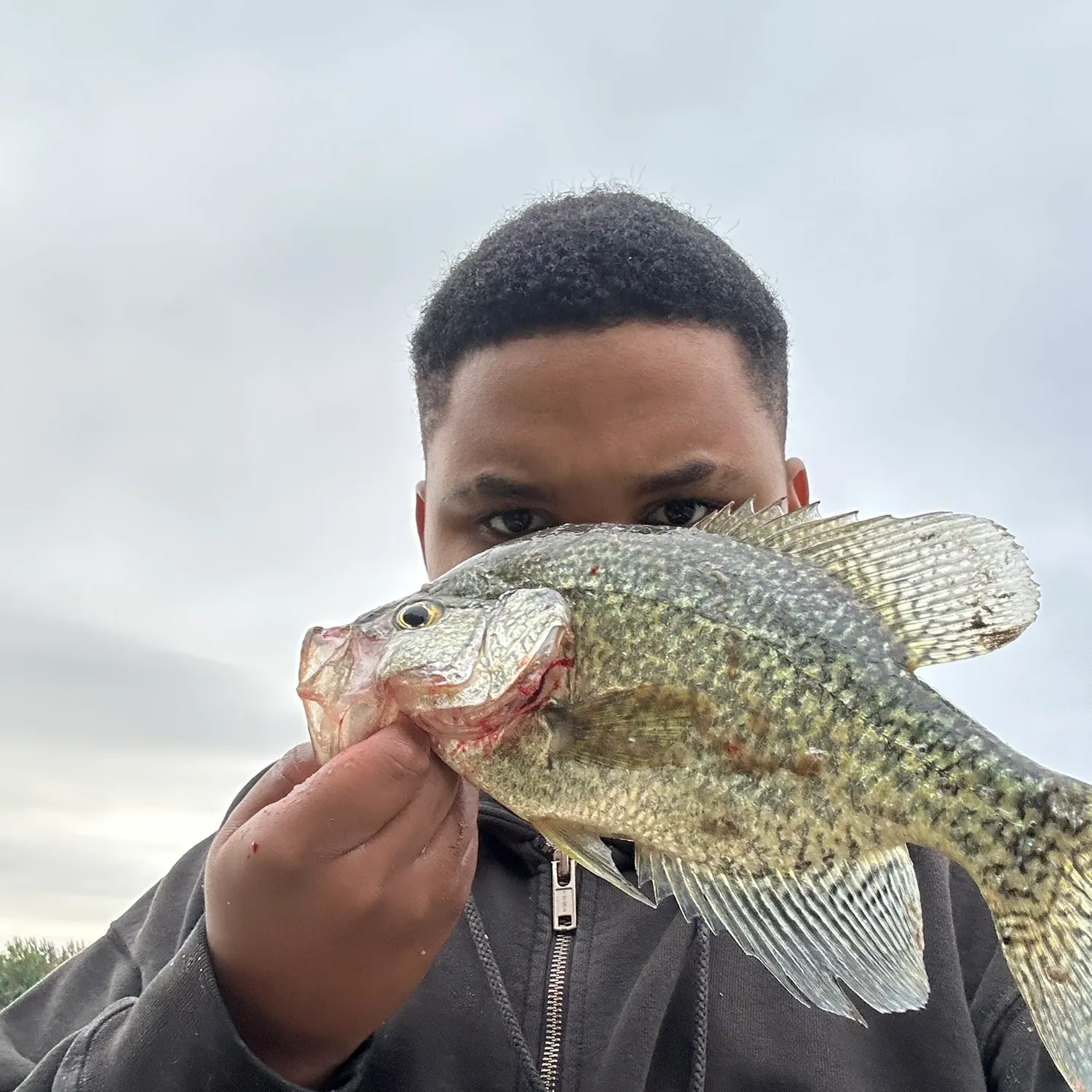 Black crappie caught on Fishbrain