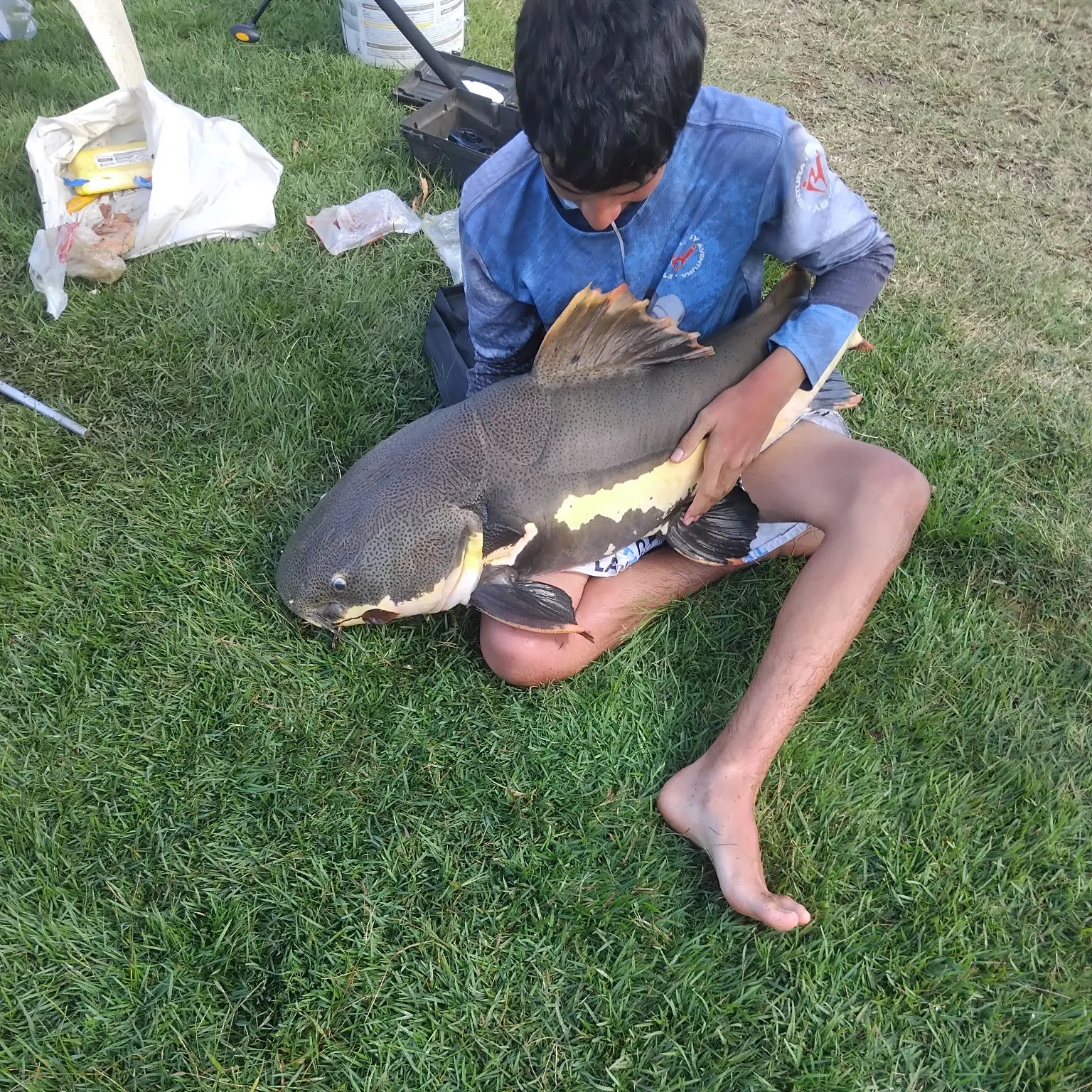 Redtail catfish caught on Fishbrain