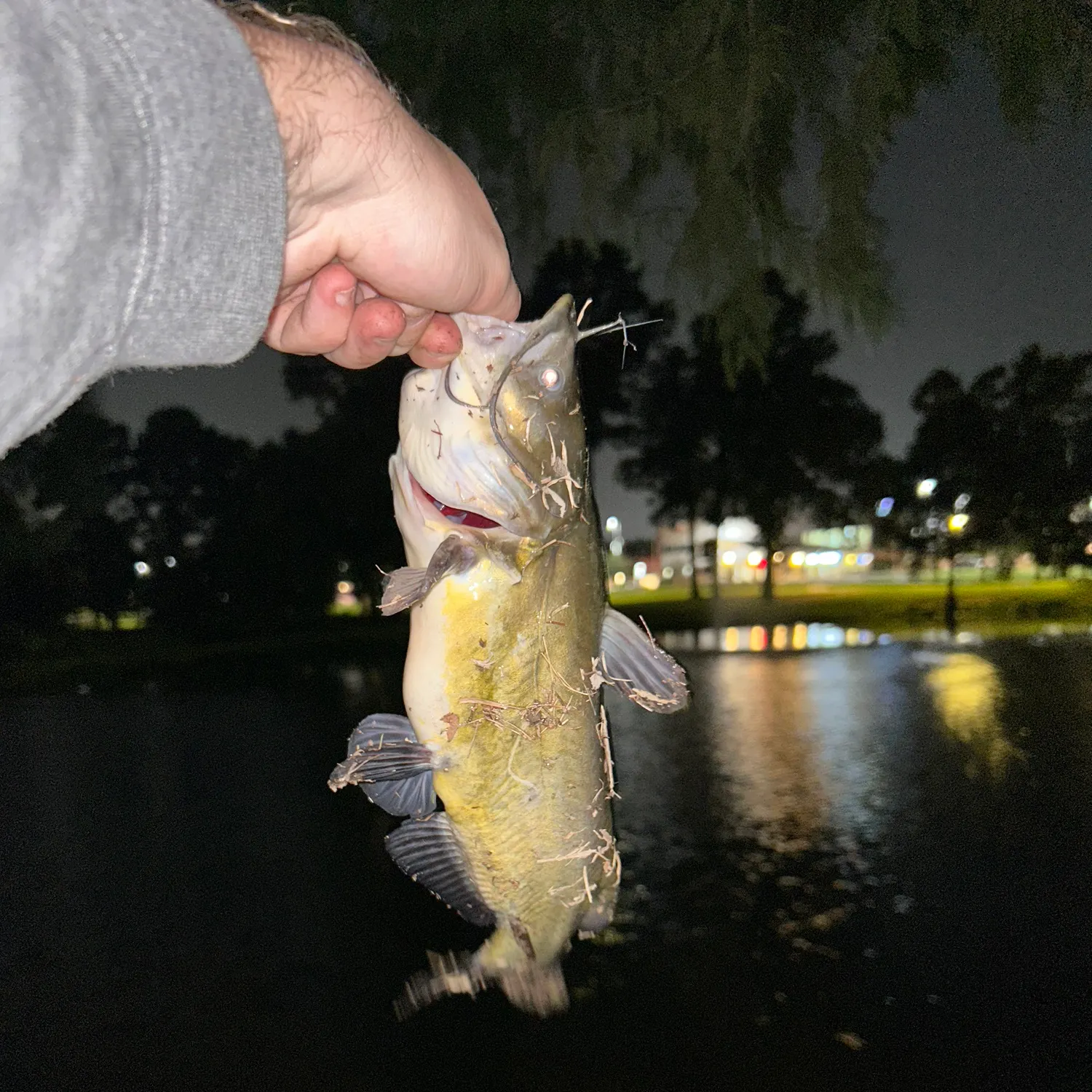 catch