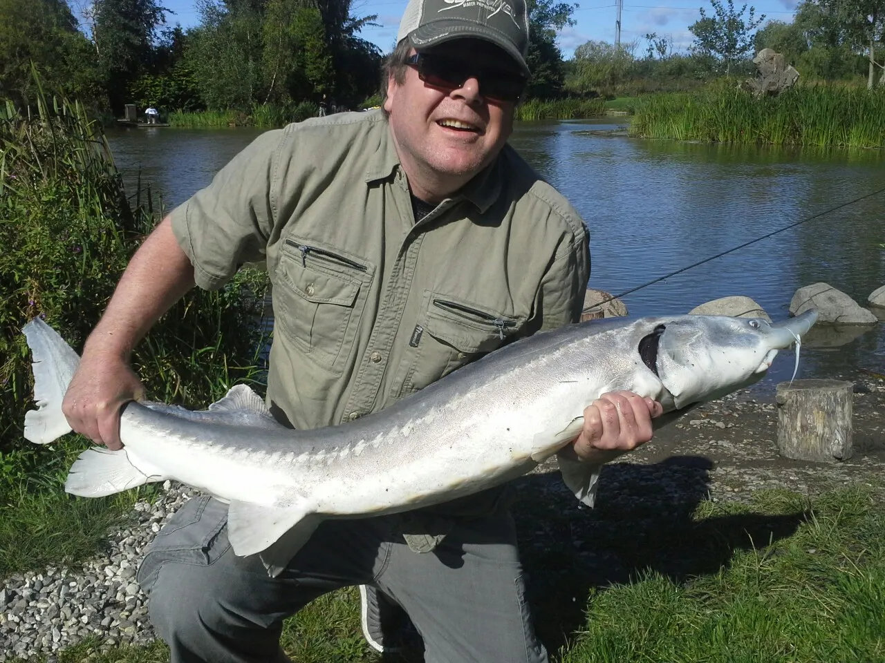 Lake sturgeon