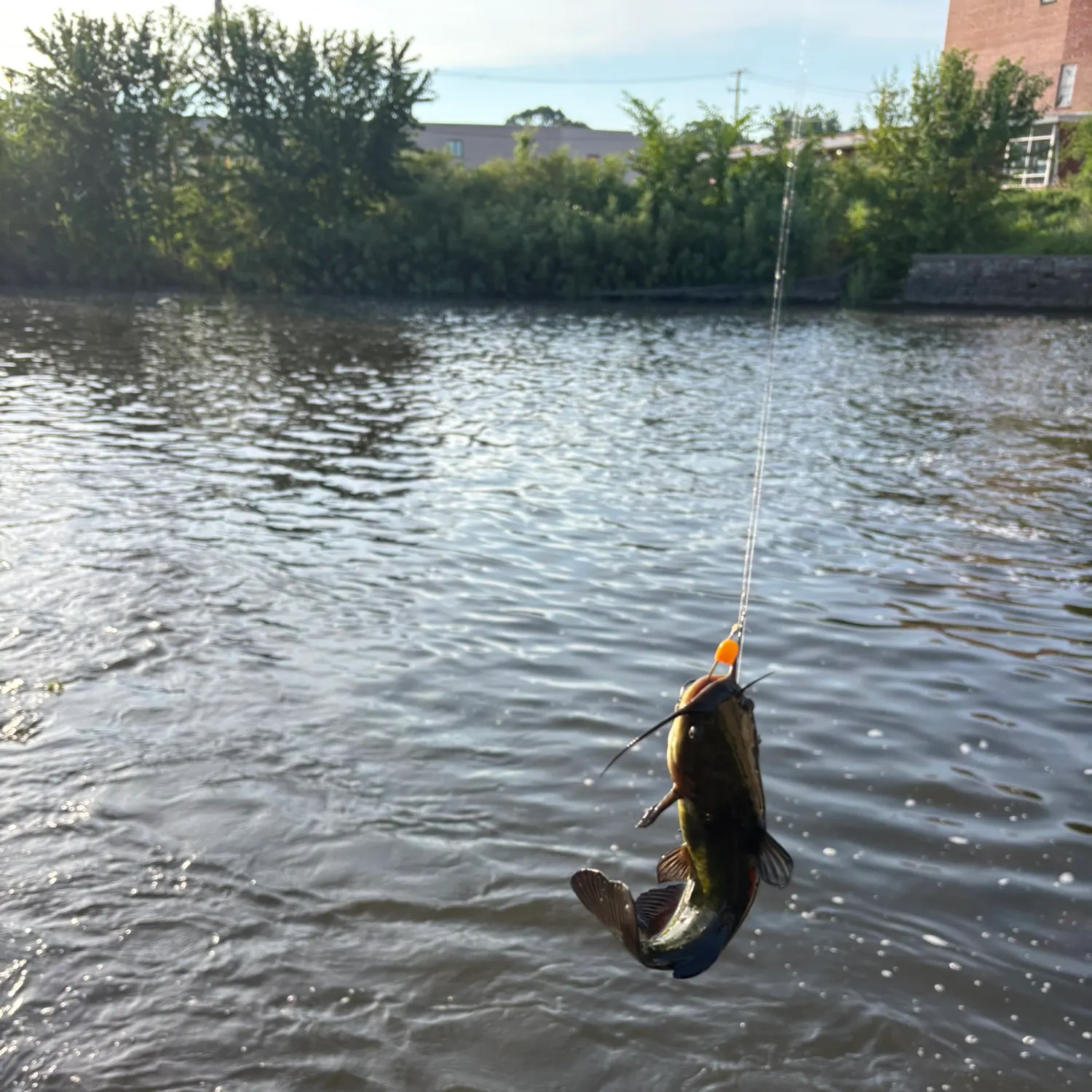catch