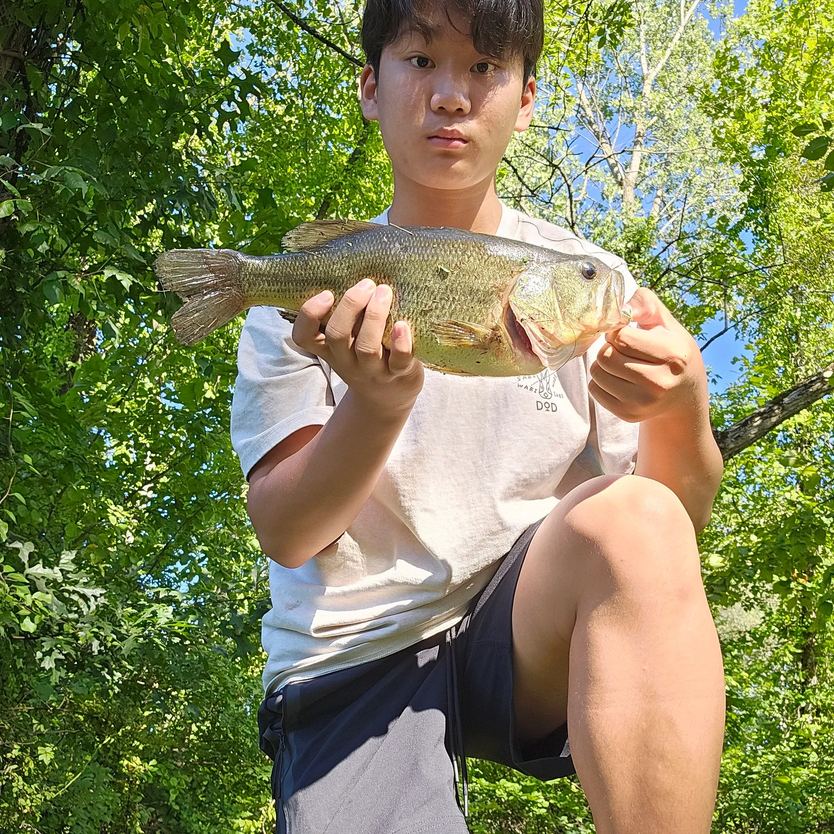 Largemouth bass caught on Fishbrain