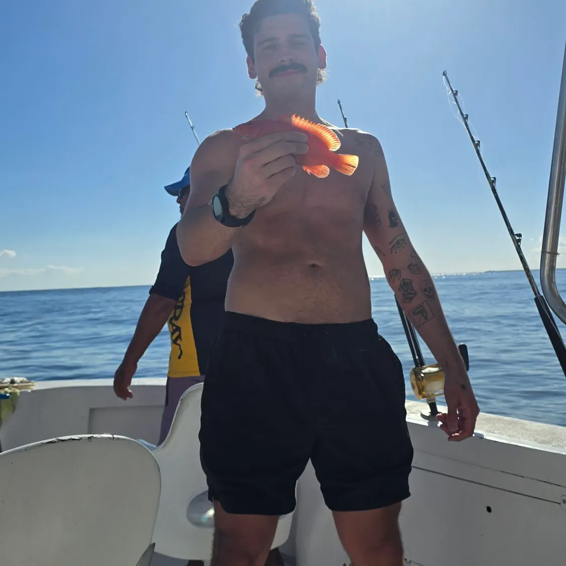 The most recent Coney grouper catches on Fishbrain