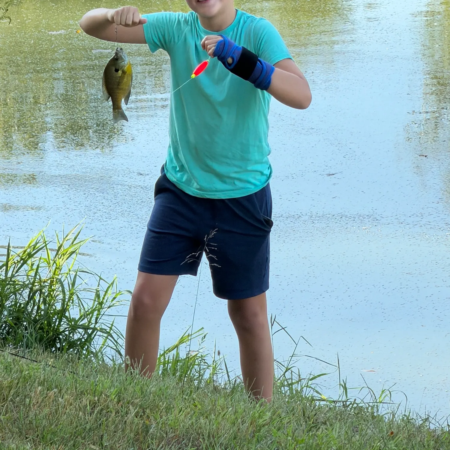 Bluegill caught on Fishbrain