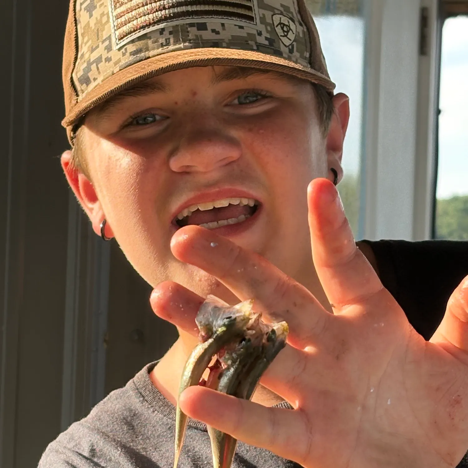 The most recent American shad catches on Fishbrain