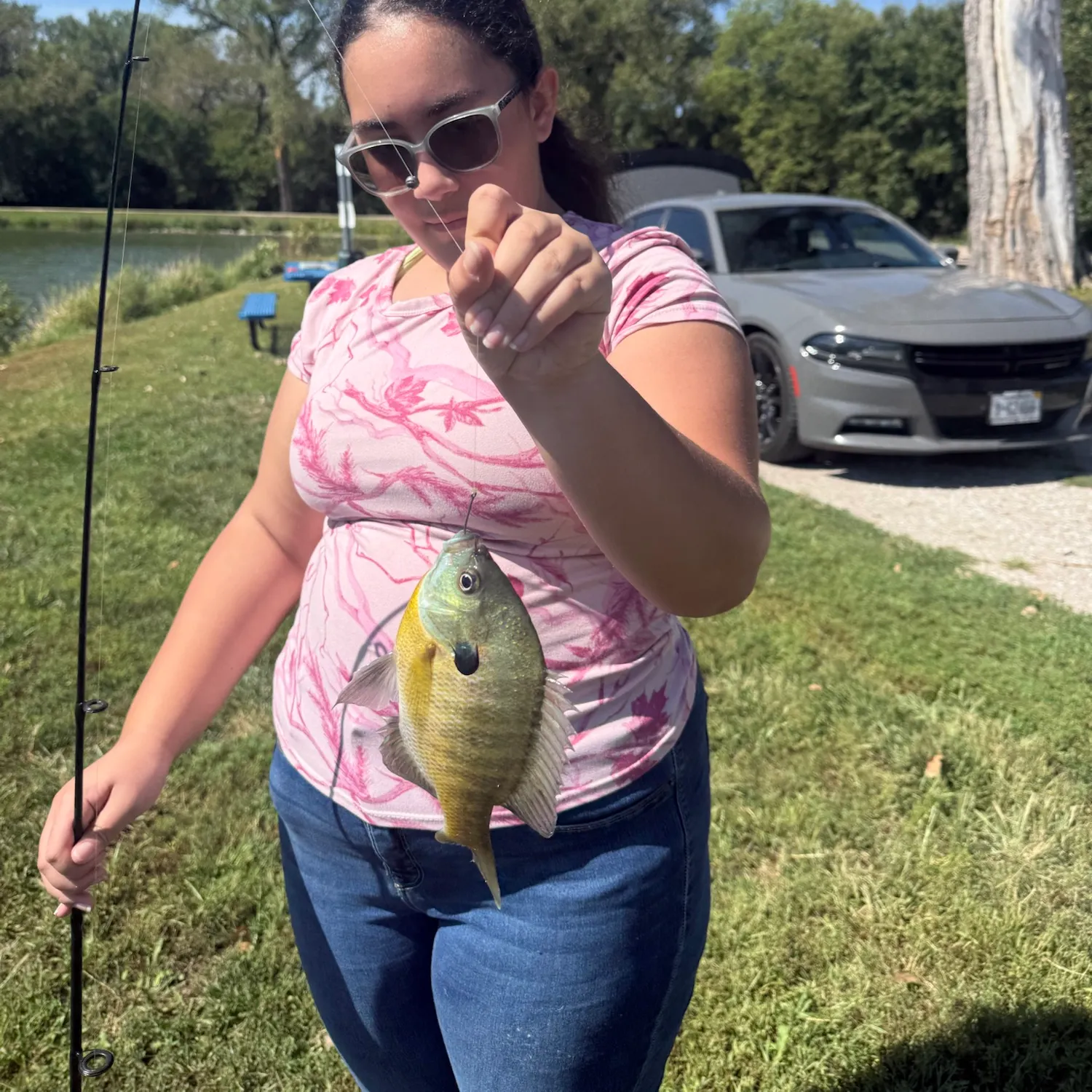 Bluegill caught on Fishbrain