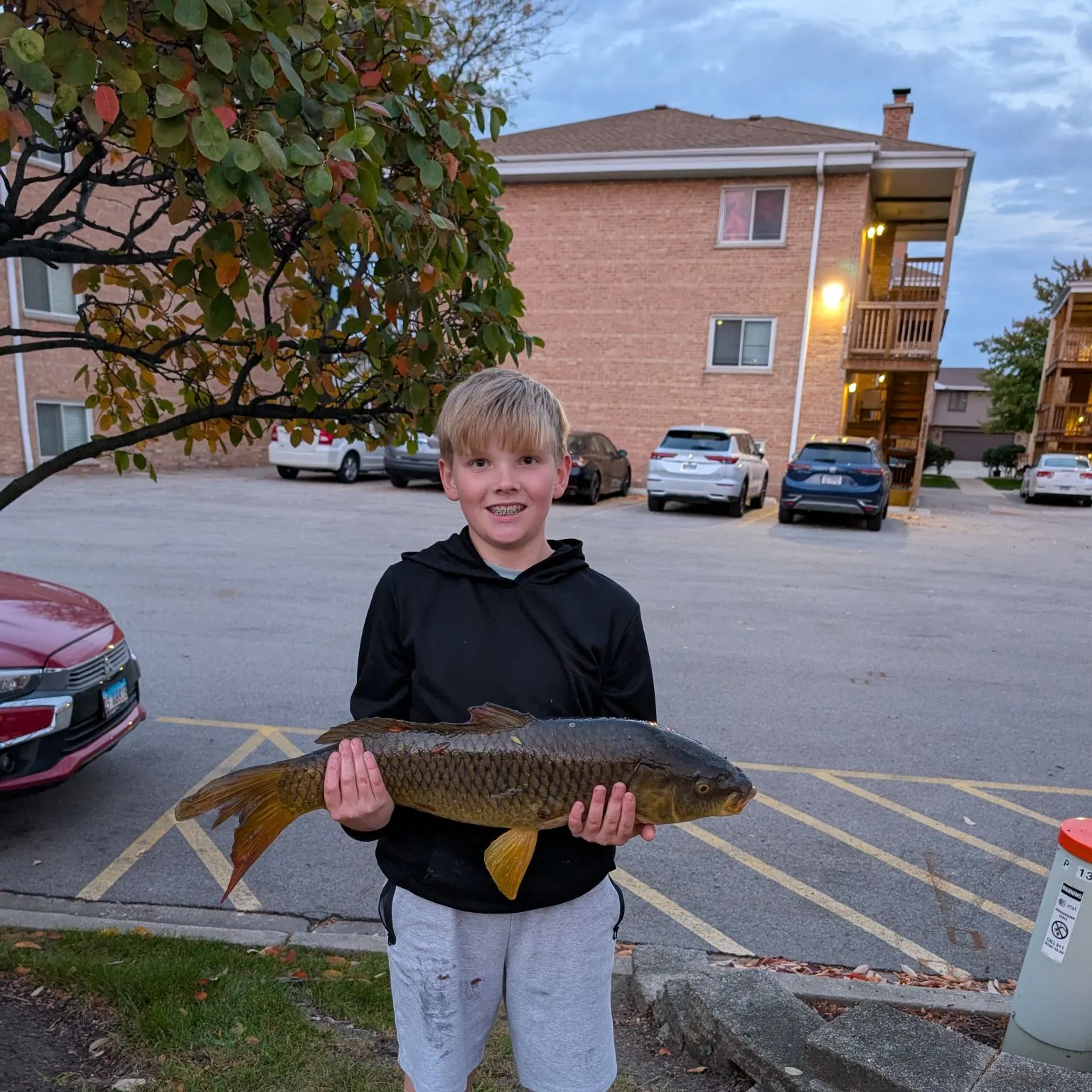 Common carp caught on Fishbrain