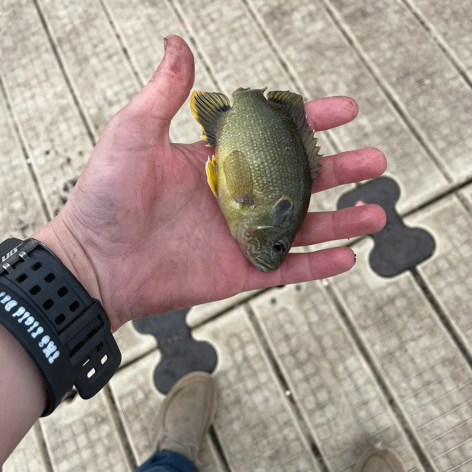 catch
