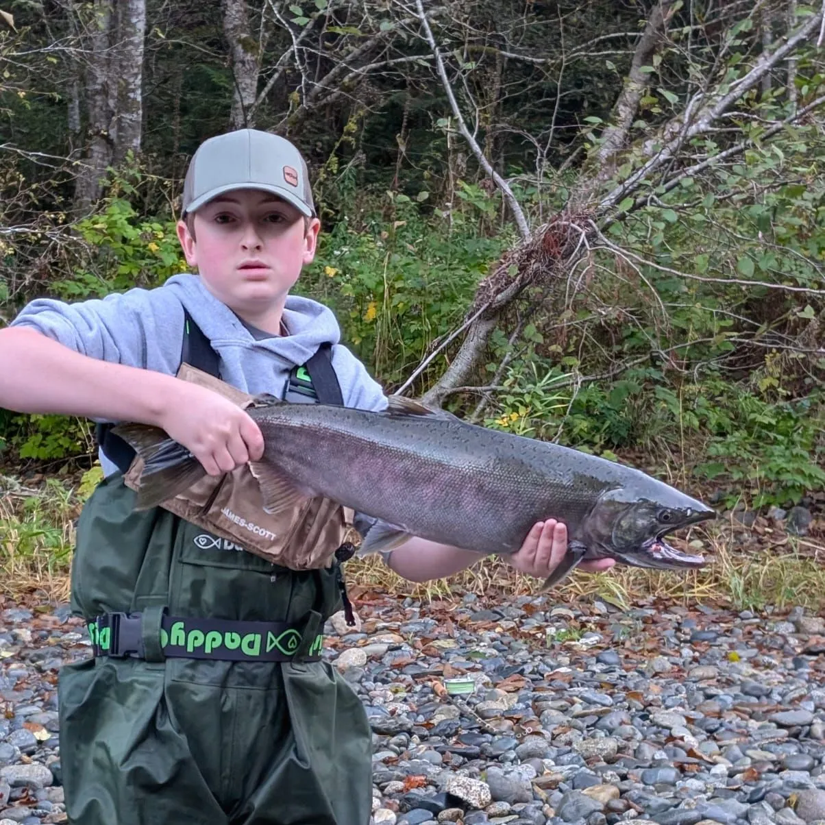 Coho salmon caught on Fishbrain