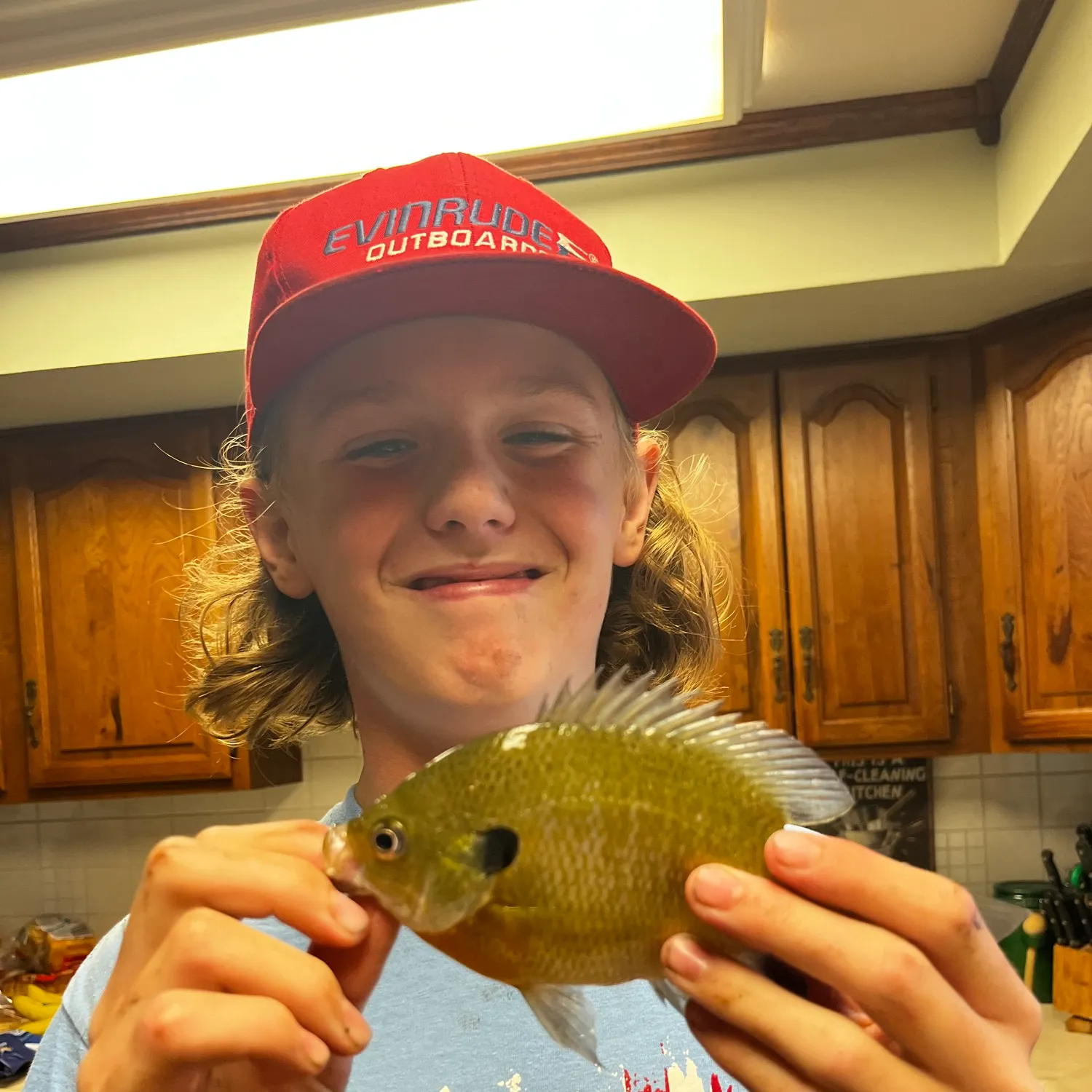 Greengill hybrid caught on Fishbrain