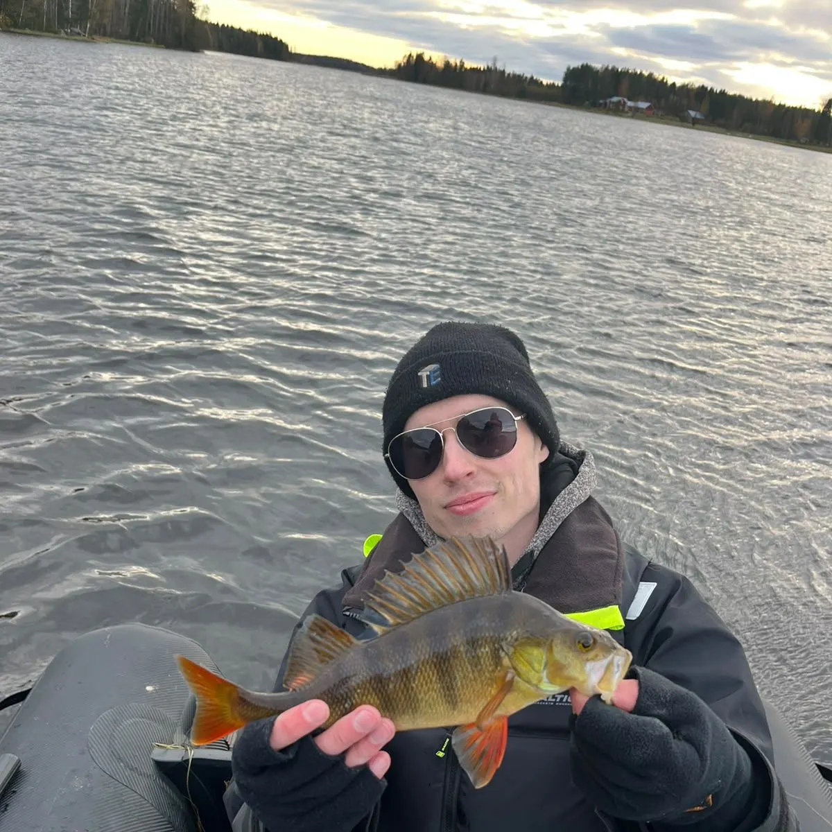 European perch caught on Fishbrain