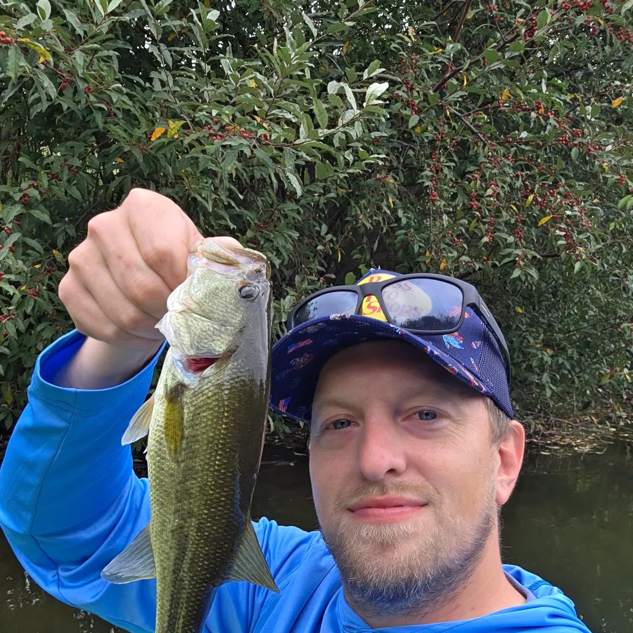 Largemouth bass caught on Fishbrain