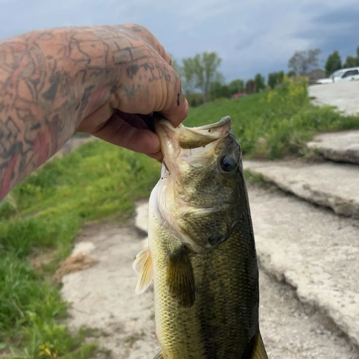catch