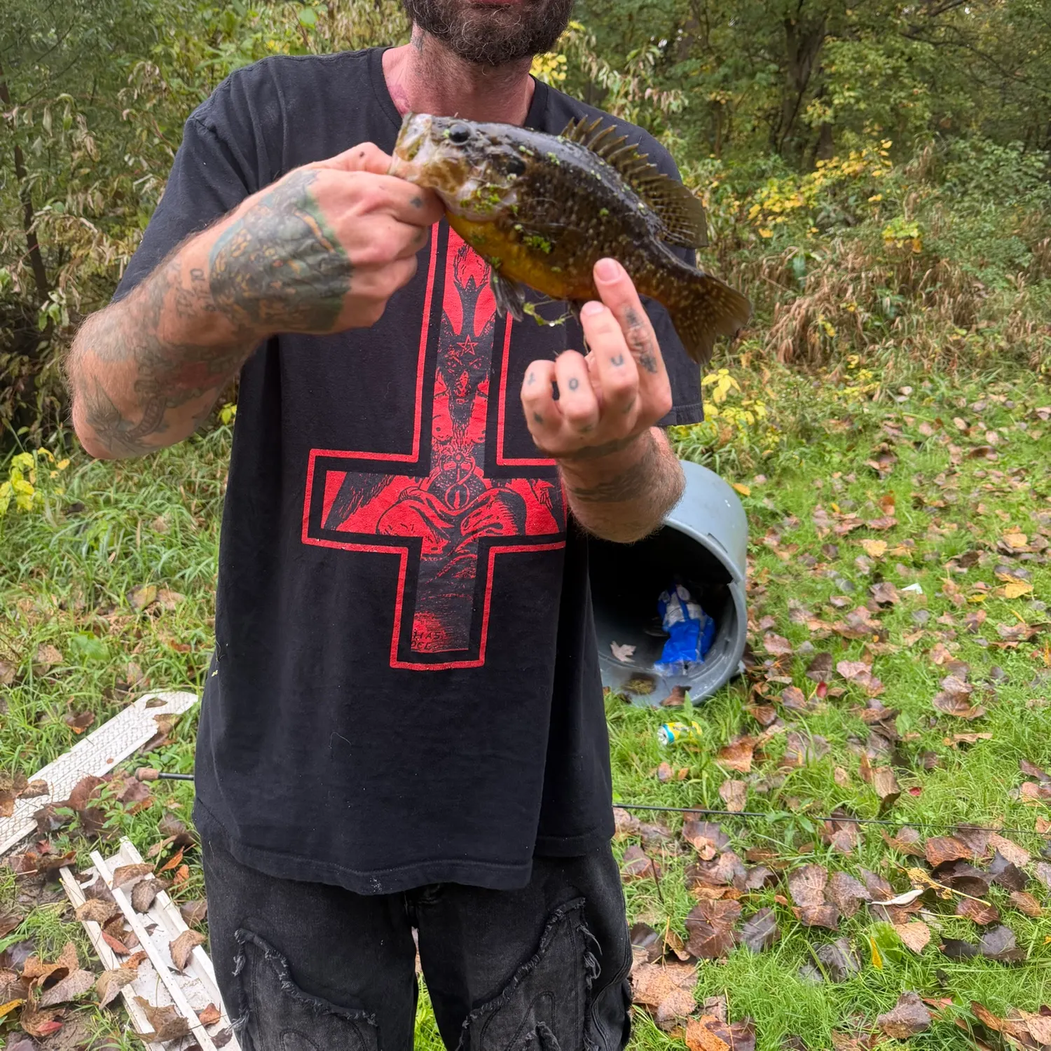 Warmouth caught on Fishbrain
