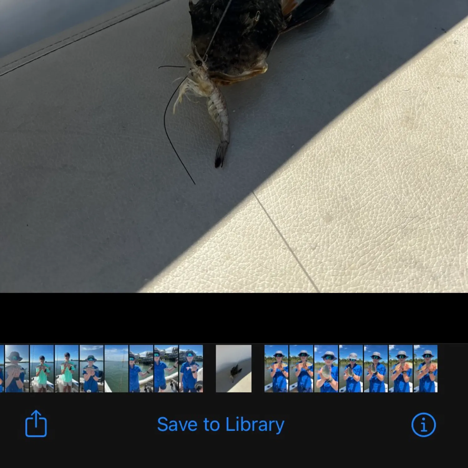 recently logged catches