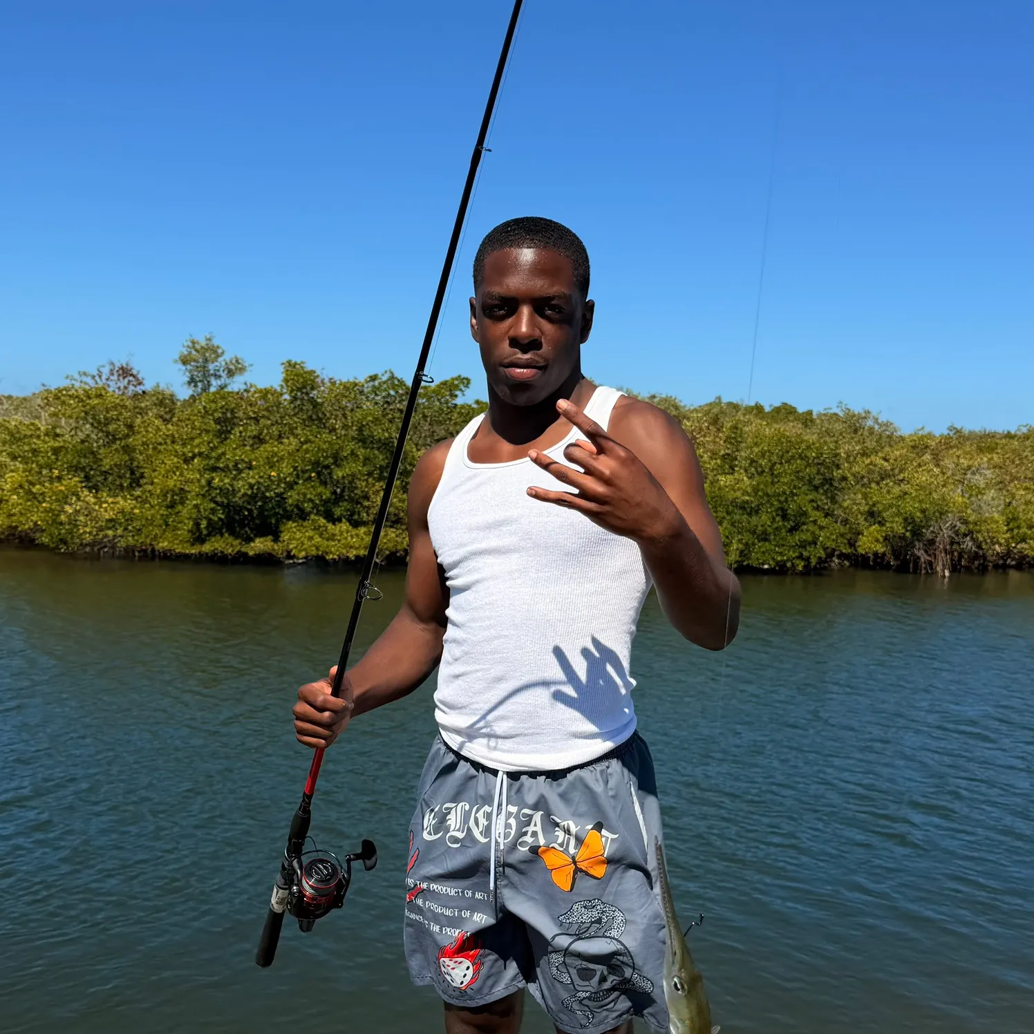 The most recent Flat needlefish catches on Fishbrain