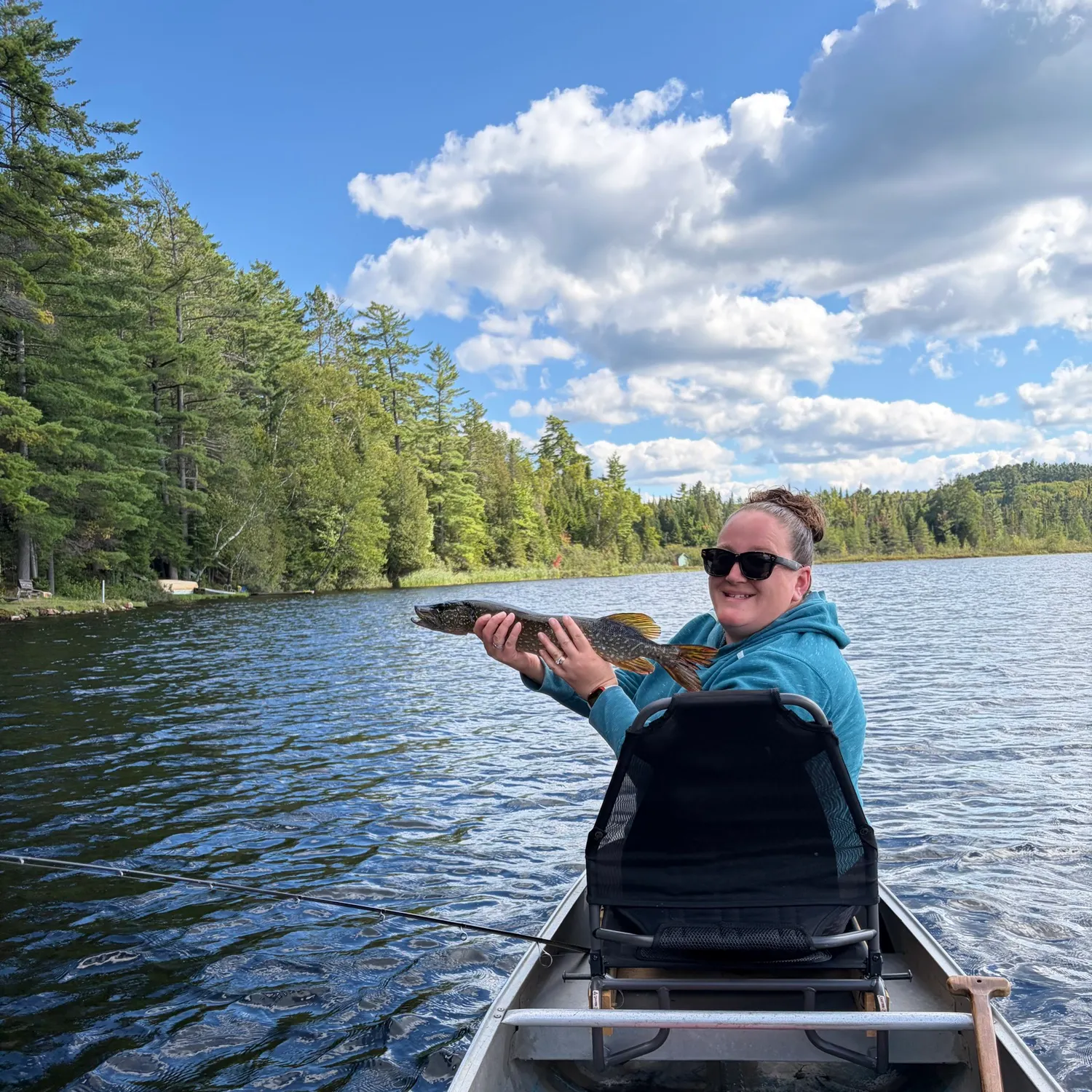 Northern pike caught on Fishbrain