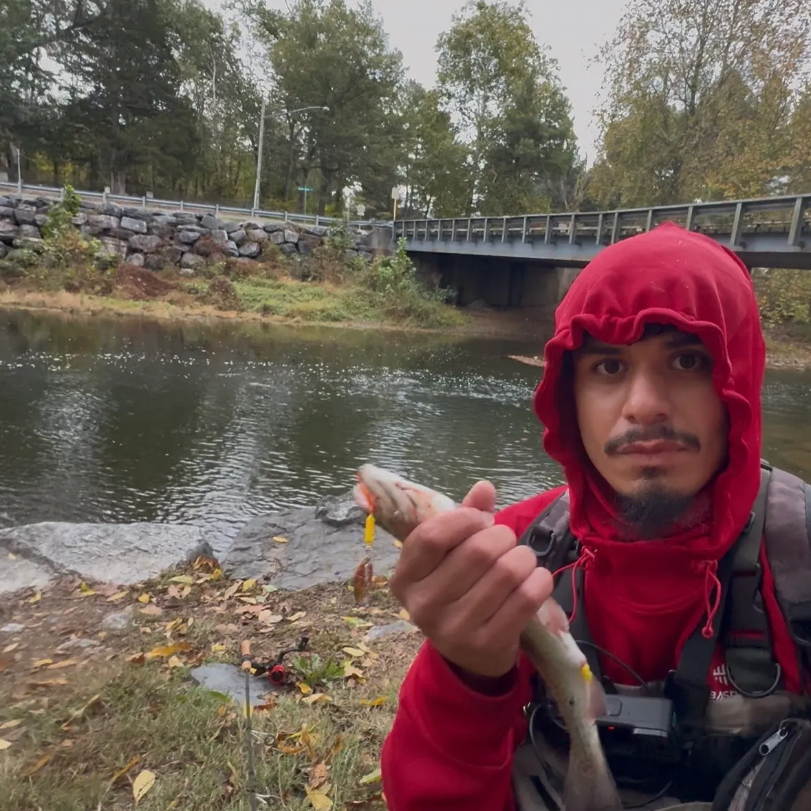 Rainbow trout caught on Fishbrain