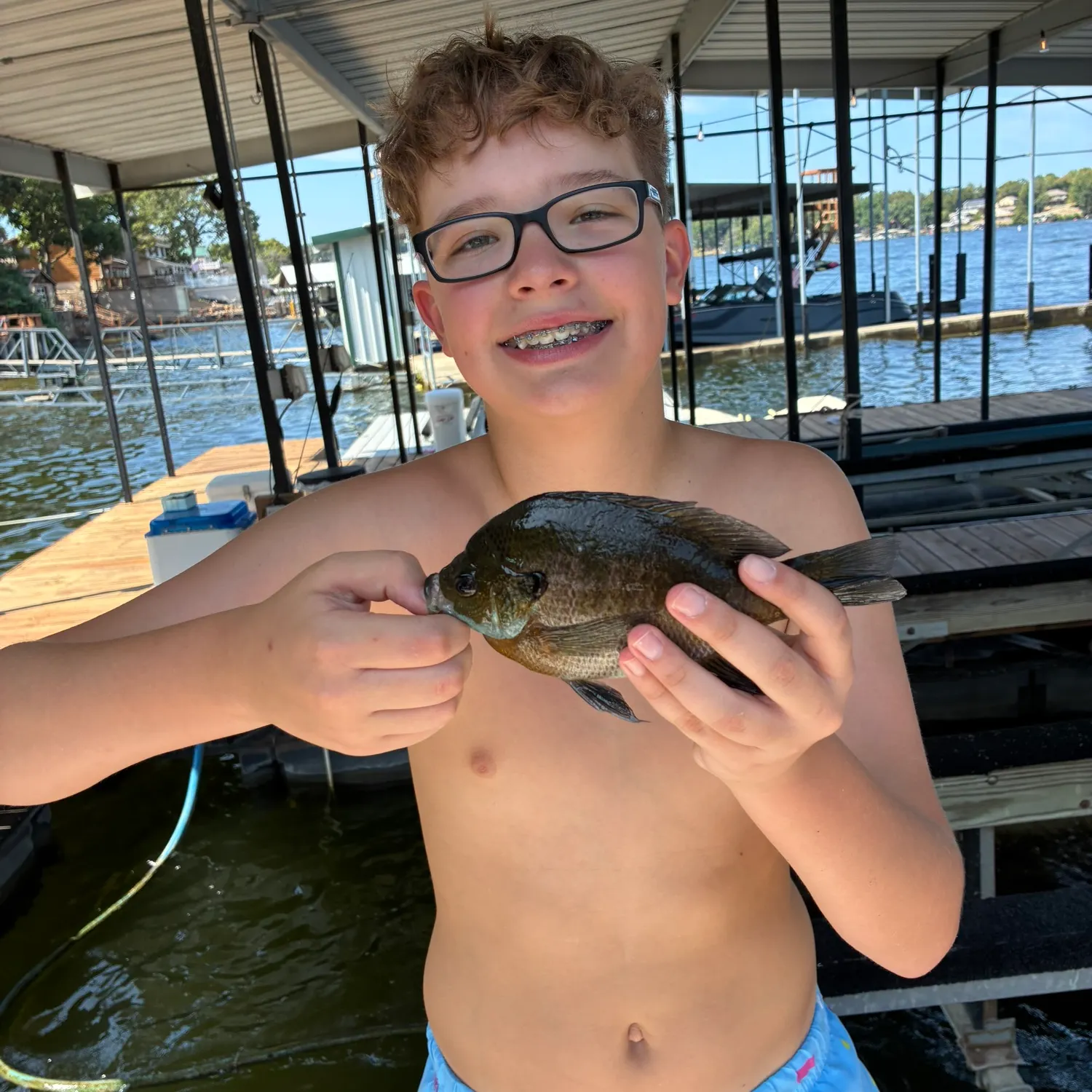Bluegill caught on Fishbrain