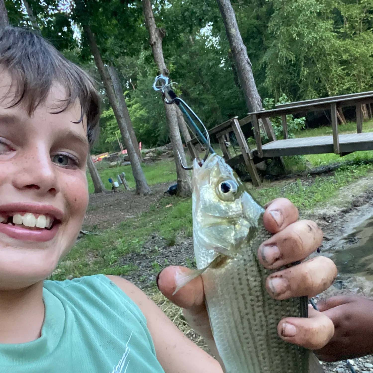 The most recent Striped mullet catches on Fishbrain