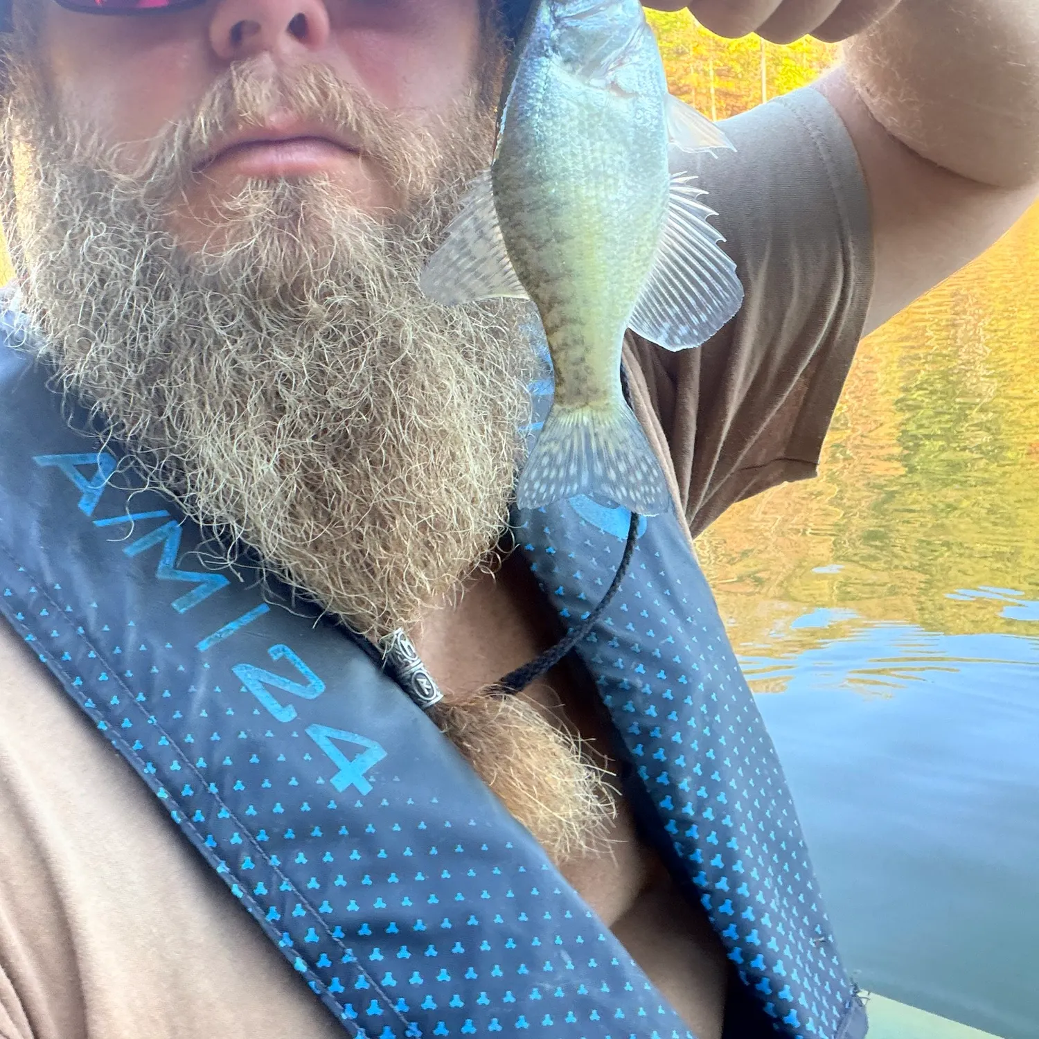White crappie caught on Fishbrain